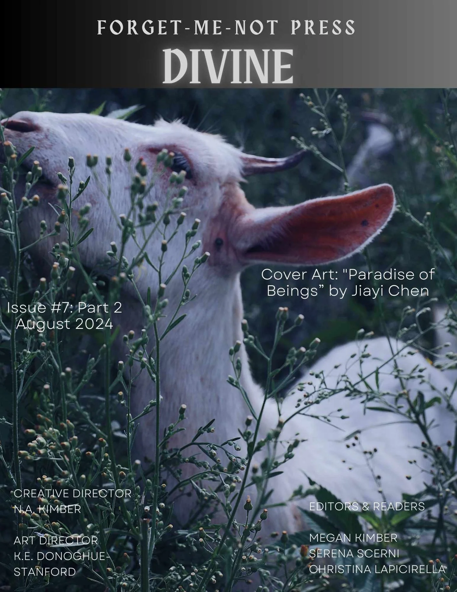 PETER DEVONALD - POETRY AND LATEST NEWS 