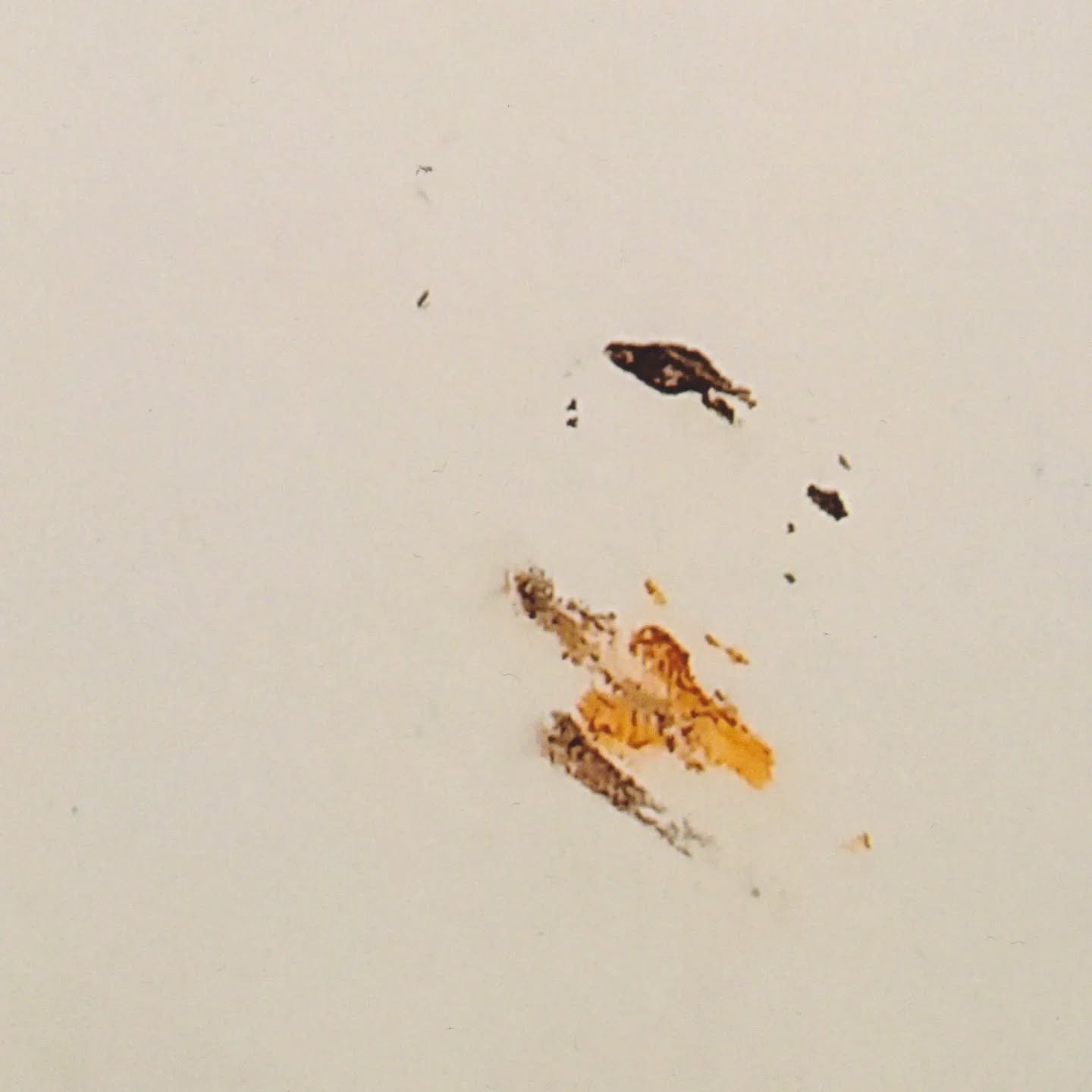 // Issue 63 - The Graffiti Issue //
Artist: Susan Plover
@susanplover7639
Description: Found on a bathroom door at my local park. Someone had etched, burned, and painted, with lipstick smudges...
Call it pareidolia, maybe, but this image made me s