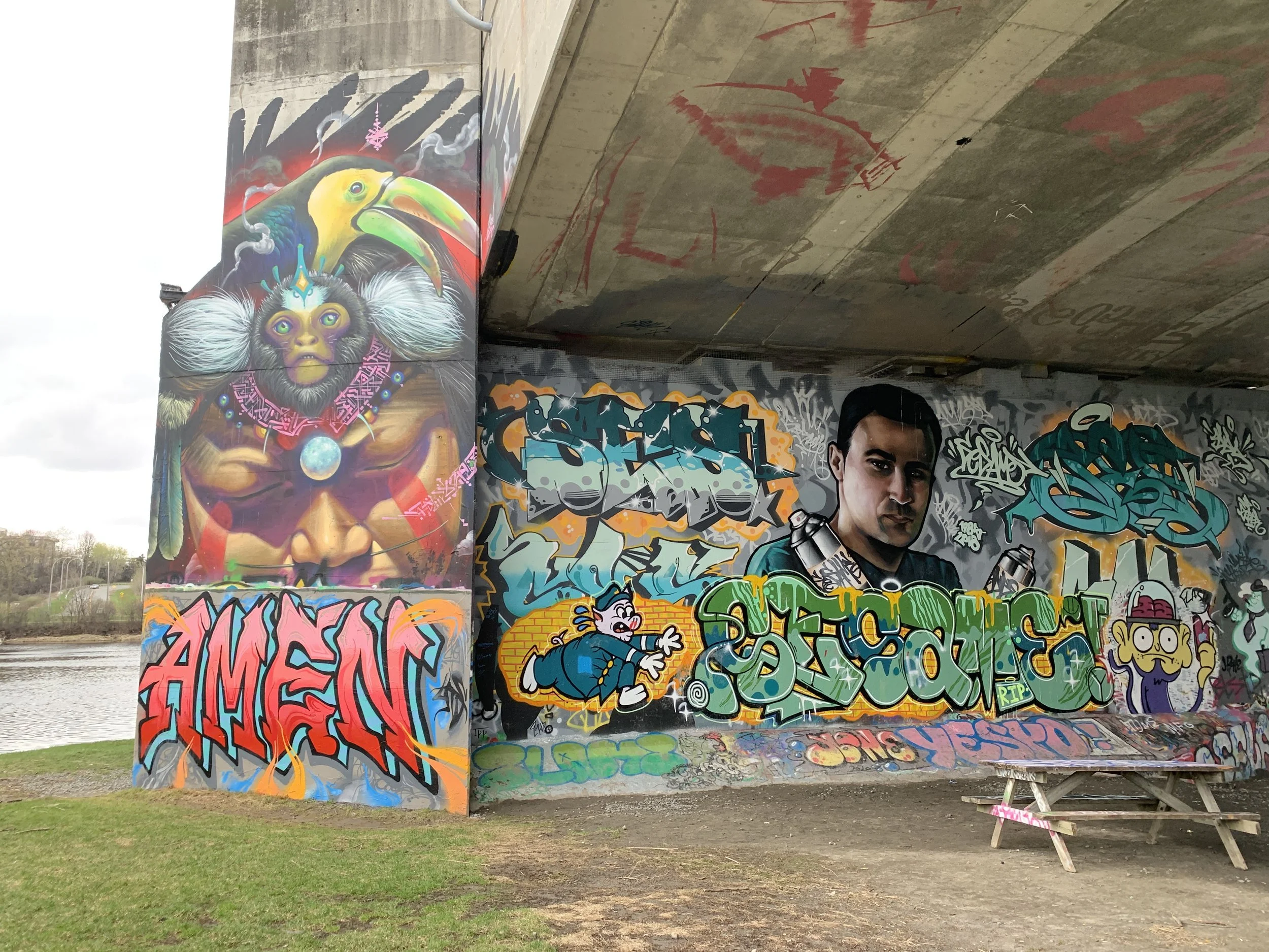 IMG_1360.jpeg
