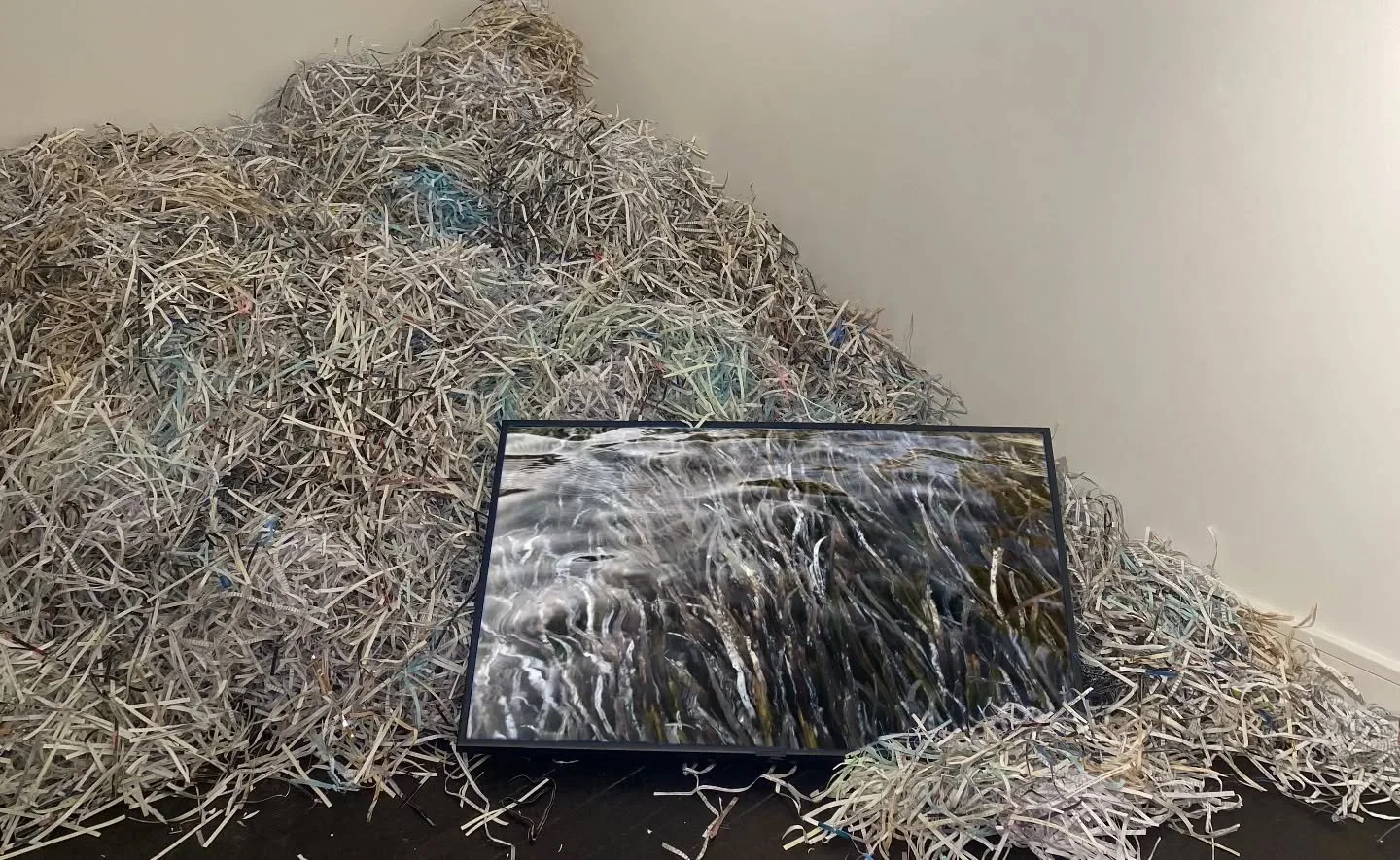 //Issue 66 - Accumulation//

Artist: Sena Baş&ouml;z
@senabasoz
www.senabasoz.info
Description: A Consolation (2020)

During her work with the Hrant Dink Archive for the creation of the 23,5 Hrant Dink Memory Site, the artist revisited her own person