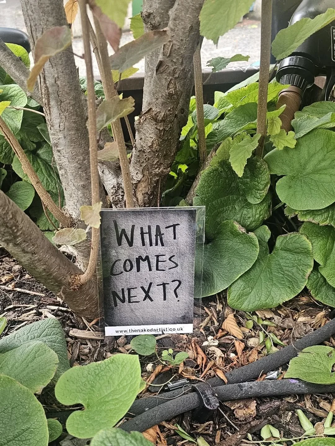 // Issue 67 - Photography.  The unseen perspective //

Artist: Suzie Pindar The Naked Artist

www.thenakedartist.co.uk

www.thenakedartist.bigcartel.com

@suziepindar

&ldquo;What Comes Next?&rdquo;

Description: I place my artwork outside, sometimes