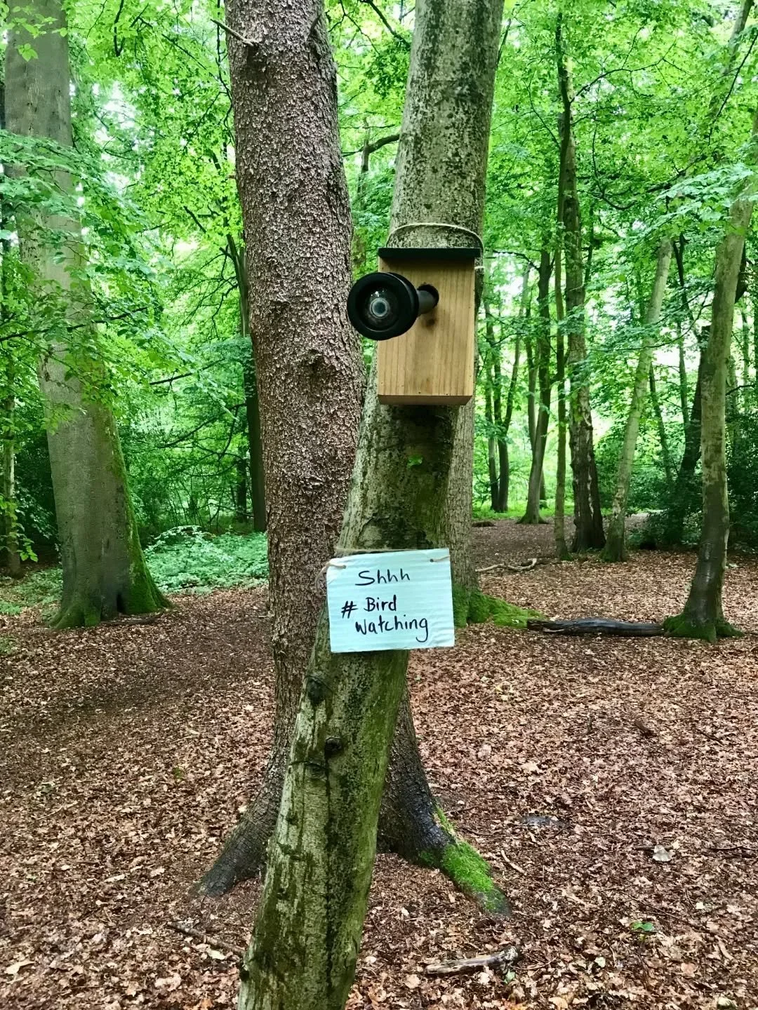 // Issue 67 - Photography. The Unseen Perspective //

Artist: Louise Shaw

http://louiseshaw.co/

@louiseshaw.artist

&ldquo;Bird Watching (1)&rdquo; Description: A small wooden bird box modified with a mock telescope installed on a tree at various s