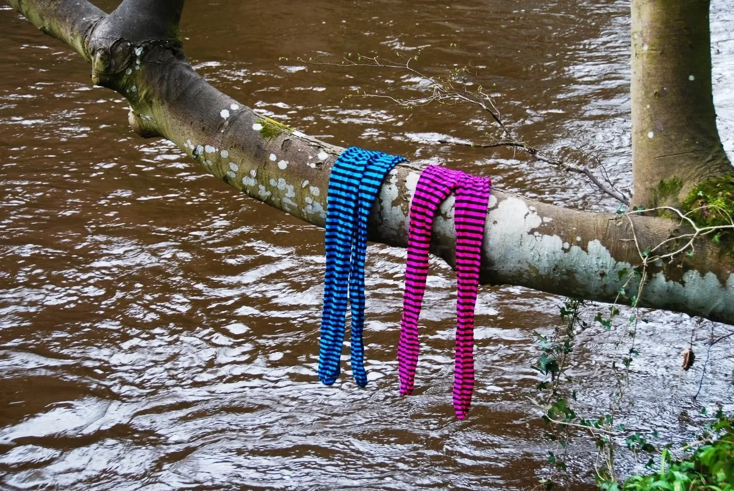 // Issue 67 - Photography. The Unseen Perspective //

Artist: Chloe Henderson

www.chloehenderson.co.uk

@SeaSlugChloe on Bluesky, TikTok, Threads, and Facebook.

&ldquo;Forest Bathing&rdquo;. Description: I didn't understand what "forest bathin