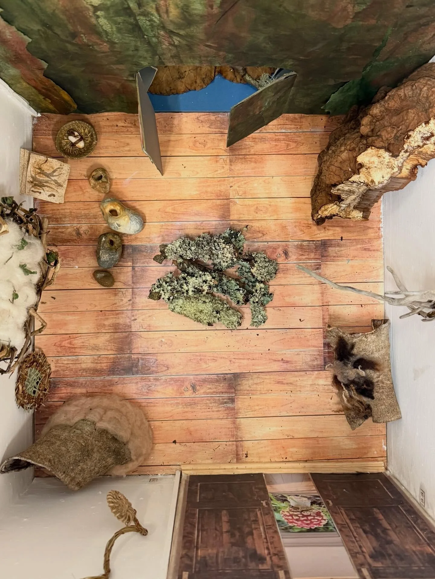 Issue 68 - Small Acts 

Artist - Nichola Rodgers

@nicholarodgers.artist 

This new work is exhibited @treasurechestgallery 
Where all the works are Small Acts 

Studio as Habitat: The Micro-Wilderness

&ldquo;Welcome to a world where the boundary be