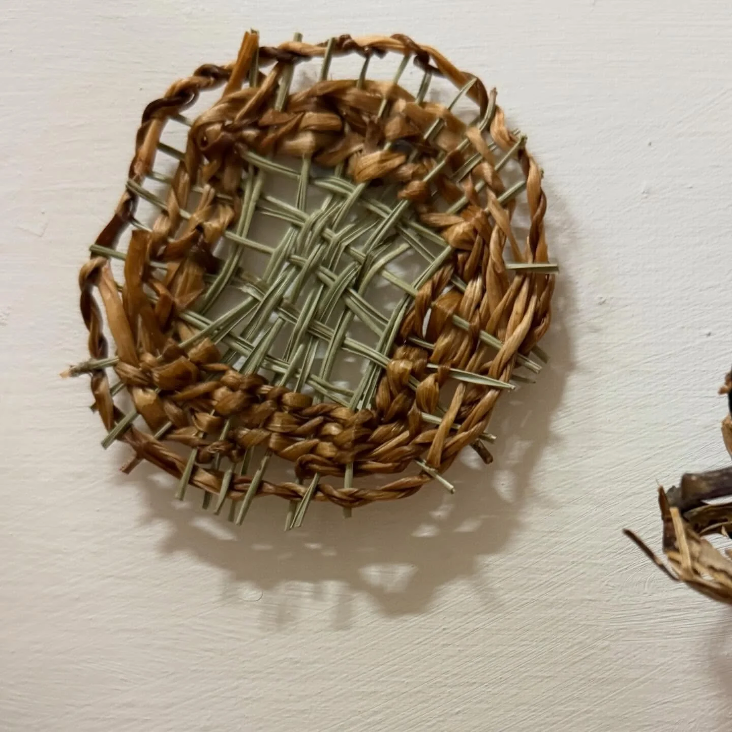 These pieces of Weaving with natural plants is an ancient, meditative practice that transforms gathered materials, graceful grasses, sturdy twigs, and vibrant blooms, into tangible, artistic expressions. It is a process that acts as both a creative o