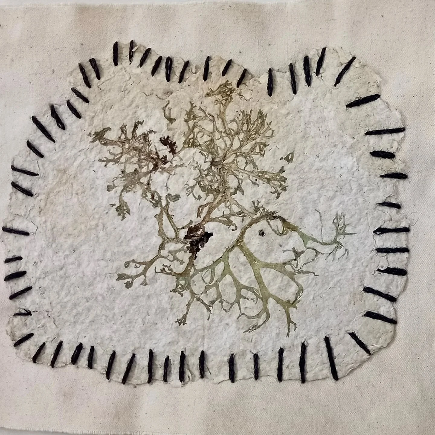 // Issue 69 - Foraging. Nature as an Art Process //

Artist: Sandra Masterson
sandramasterson.co.uk
@sjmasterson1 The Language, Earth Instagram
Facebook Sandra Masterson
LinkedIn Sandra Masterson

&rdquo;Patchwork&rdquo;. 

It is hard to keep the mid