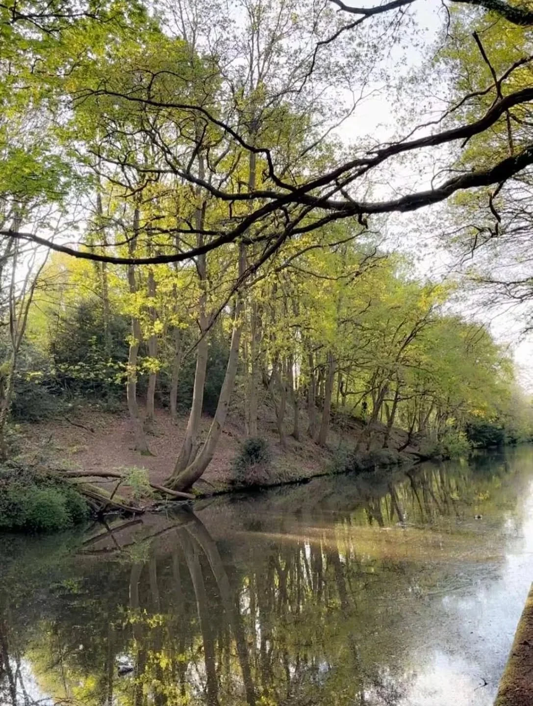 // Issue 69 - Foraging - Nature as Art Process //

Artist: Francis Chukwuneye

@francis_artworld

Description: &ldquo;Walking in Stillness&rdquo;. This work explores the quiet rituals of walking and the act of looking as a form of 'foraging' for emot