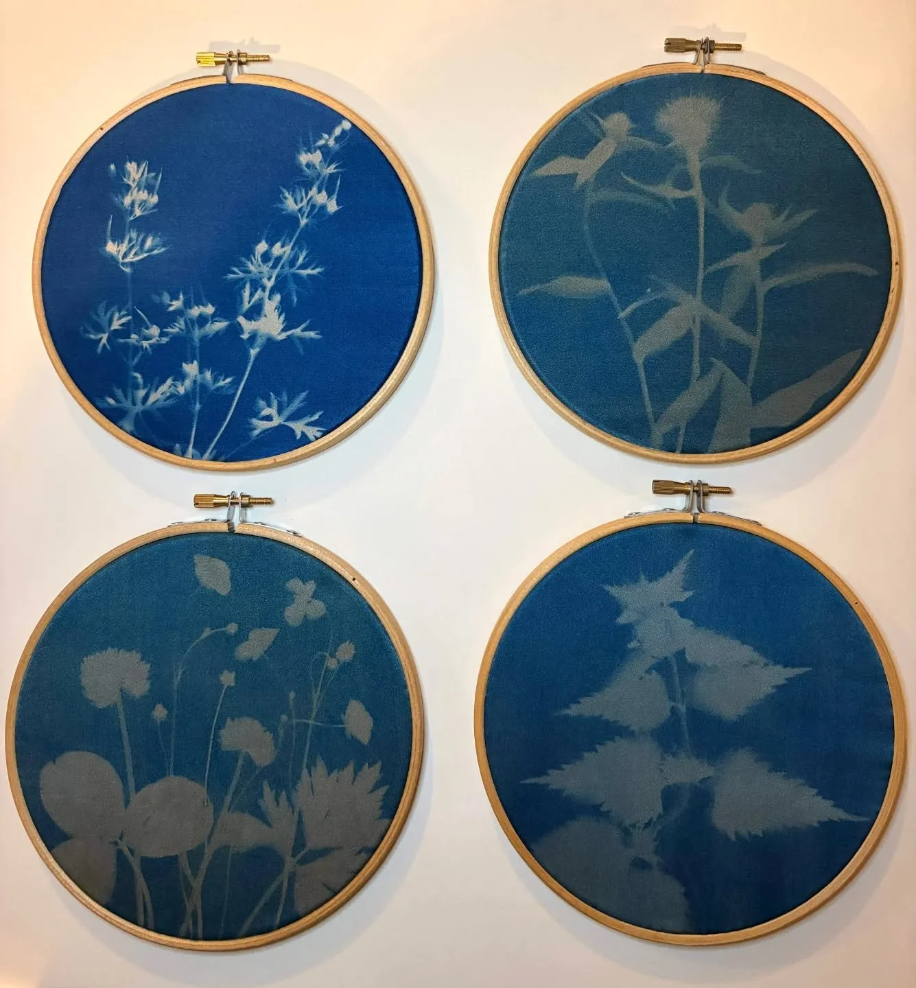 // Issue 69 -Foraging - Natures as Art Process //

Artist: Elly Platt

www.takeitupwearitout.co.uk

@takeitupwearitout

Description: World of the Wandle at Riverbank Way is a project celebrating the incredible variety of wild plants growing on the ba