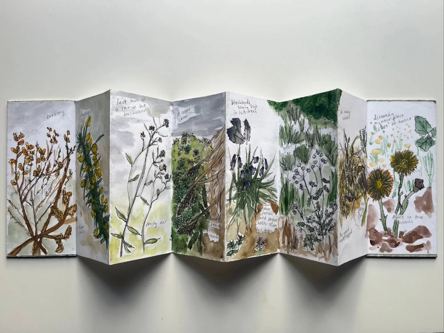 // Issue 69 - Foraging - Nature as Art  Process //

Artist: Emily Brannigan
https://emilybranniganfineart.com/
https://www.instagram.com/emilybranniganfineart?igsh=MXZzcHRkd3Vyd2wyOA%3D%3D&amp;utm_source=qr

@emilybranniganfineart

Description: &ldqu