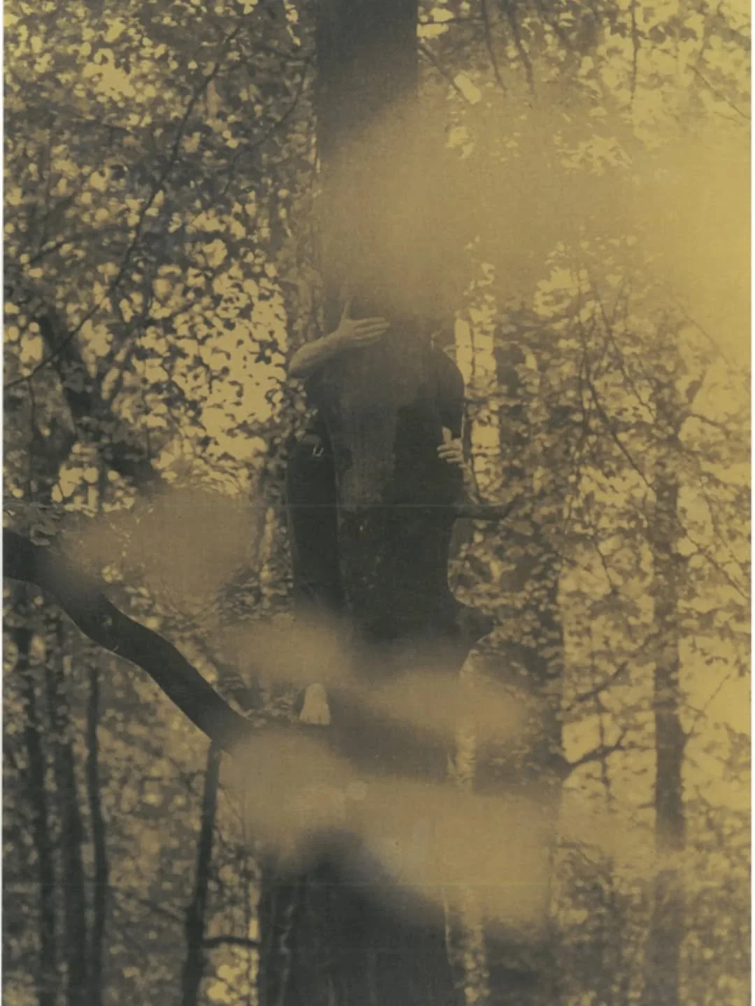 // Issue 69 - Foraging - Nature as Art Process //

Artist: Rosie Redwood

https://rosieredwood111812fe.myportfolio.com/practice-5-pt2

@rosieredwoodphotography

Description: &lsquo;Bodyline Narratives: Nature Human connection&rsquo; is a process-led 