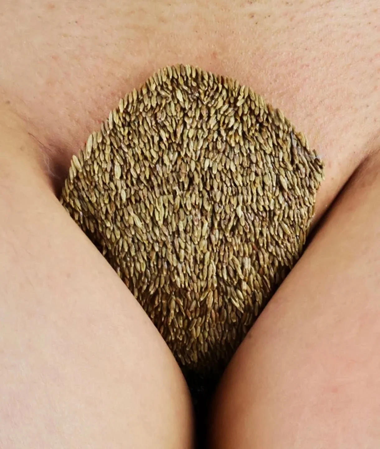 // Issue 70 - The Fragmented Body //

Artist: Huiyi Xiao

@xiao9107
Description: In &ldquo;Cumin Fur&rdquo;, I adhere cumin seeds onto the bare skin around my genitals following my first pubic hair removal in Australia. As a Chinese immigrant, I was 