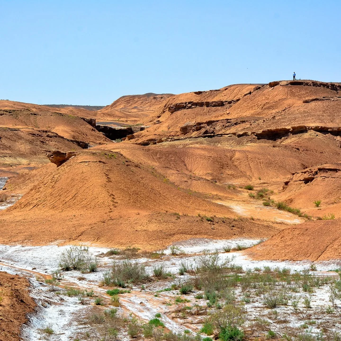 // Issue 70 - The Fragmented Body //

Artist: Mohsen Saeb

https://www.andwherever.space

@and.wherever

Description: Self-Portrait is a photographic series made along highways between Iranian cities, where I use distance and landscape to rethink wha