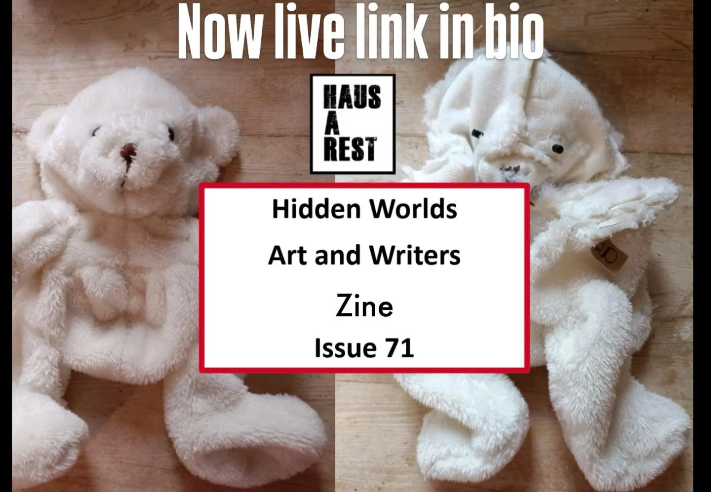 ✨ WE ARE LIVE ✨
Issue 71 &mdash; Hidden Worlds is here 🖤
This month we asked: What is Hidden?
 And we got some good work, Honest, brave, and boundary-pushing work from artists and writers across every discipline &mdash; this issue is one of our most