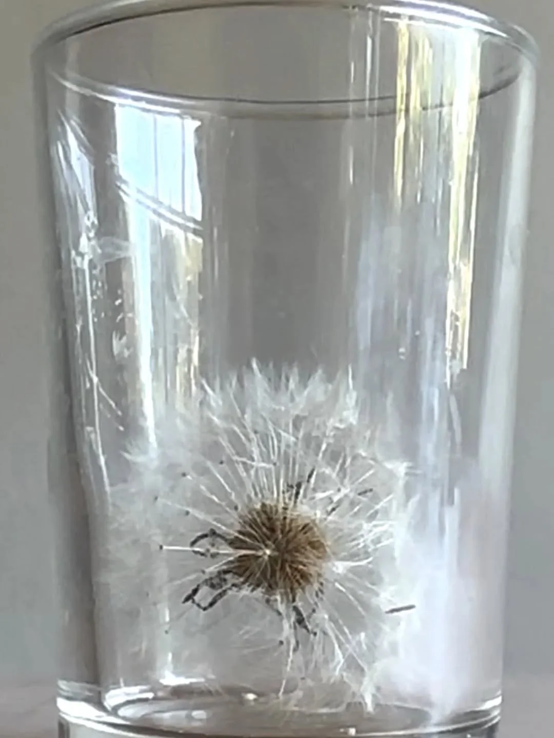 // Issue 72 - The Liminality of Time //

Artist:  Iza Nez

Doing Things to Time

Description: Iza Nez is interested in how we experience time and how we can alter our own perception of time passing. We do not normally think of time as something that 