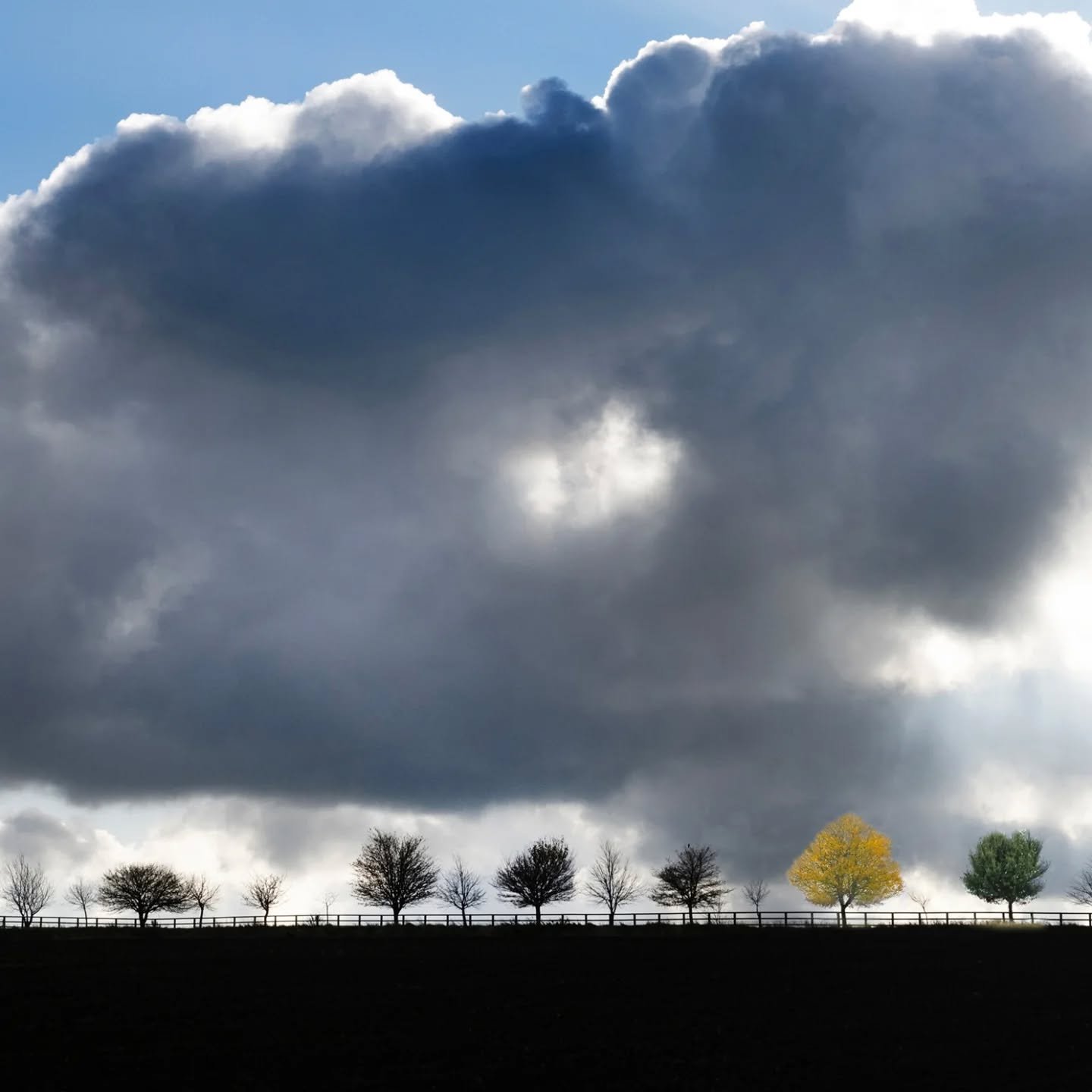 // Issue 72 - The Liminality of Time //

Artist: Rob Judges

rob judges.com

@rob_judges

Timescape2

Description: A landscape through time and seasons. The idea of combining photographs of different seasons was prompted by David Hockney's suppositio