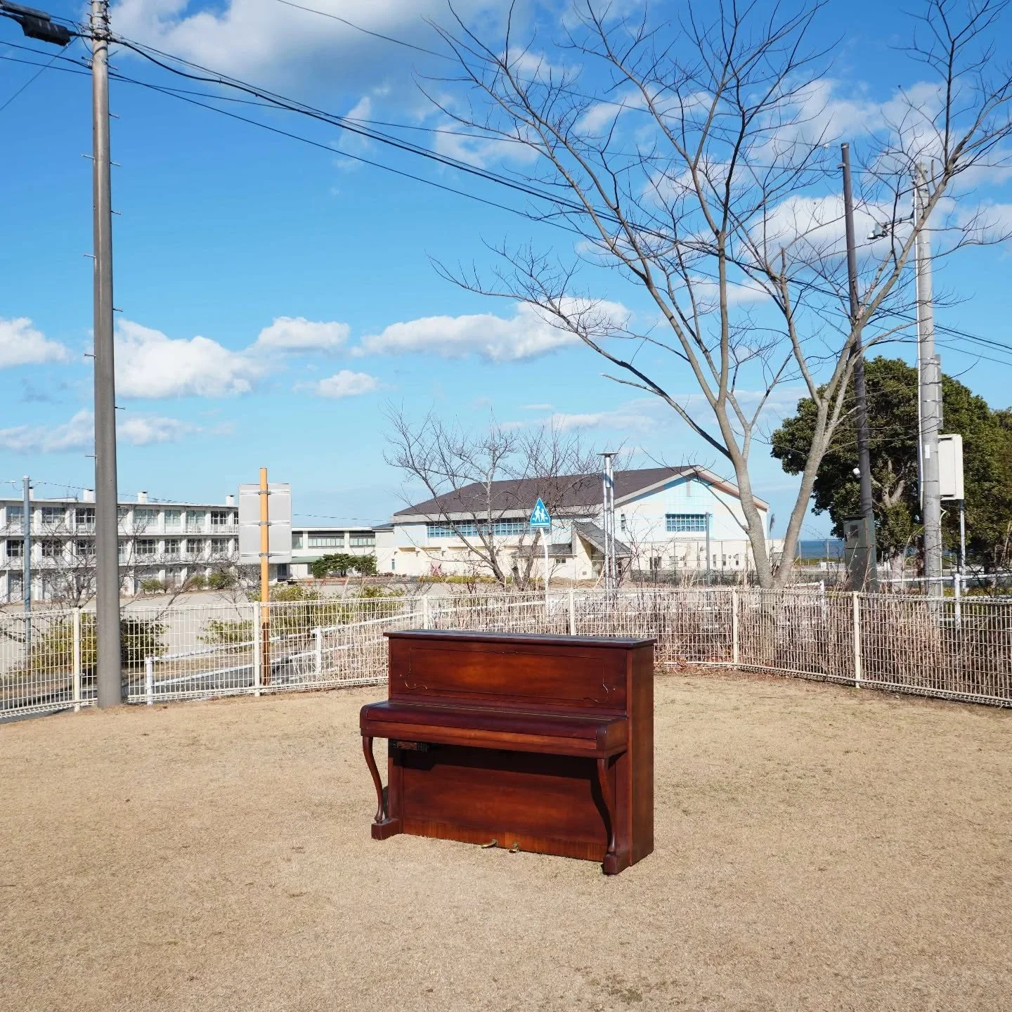// Issue 72 - The Liminality of Time//

Artist: Seitaro Yamazaki

https://seiyamazaki.com/

@seitaroyamazaki

Piano to Nature 2

Description: This work involves placing a Steinway upright piano, used by the late Ryuichi Sakamoto for recording his fin