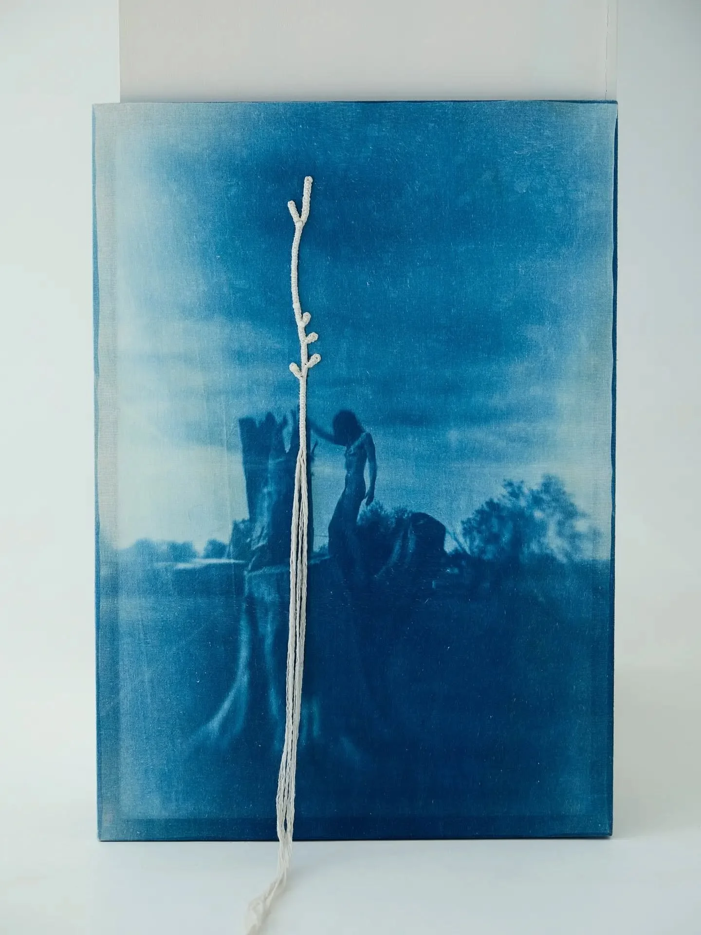 // Issue 76 - Labour, Repetition and the Print Process //

Artist: Tata Dayneko

@daynekotata2014
https://daynekotata.ru/tsianotipiya

A work from the series &ldquo;Silent Truth&rdquo;

Description: Cyanotype on fabric, &ldquo;sazheniye po beli&rdquo