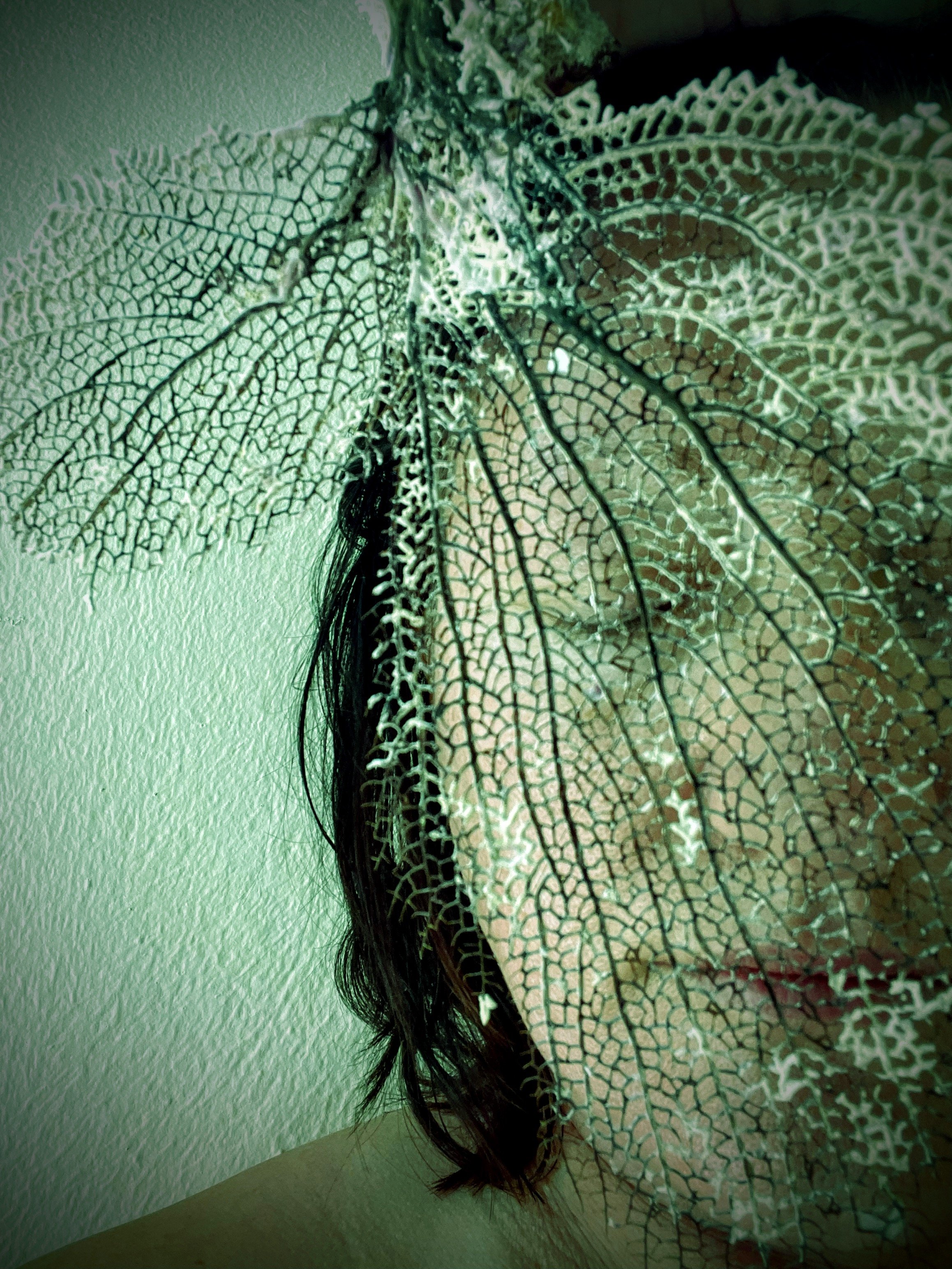 woman & artist Nichola Rodgers, behind foraged sea coral, within a tinted photo