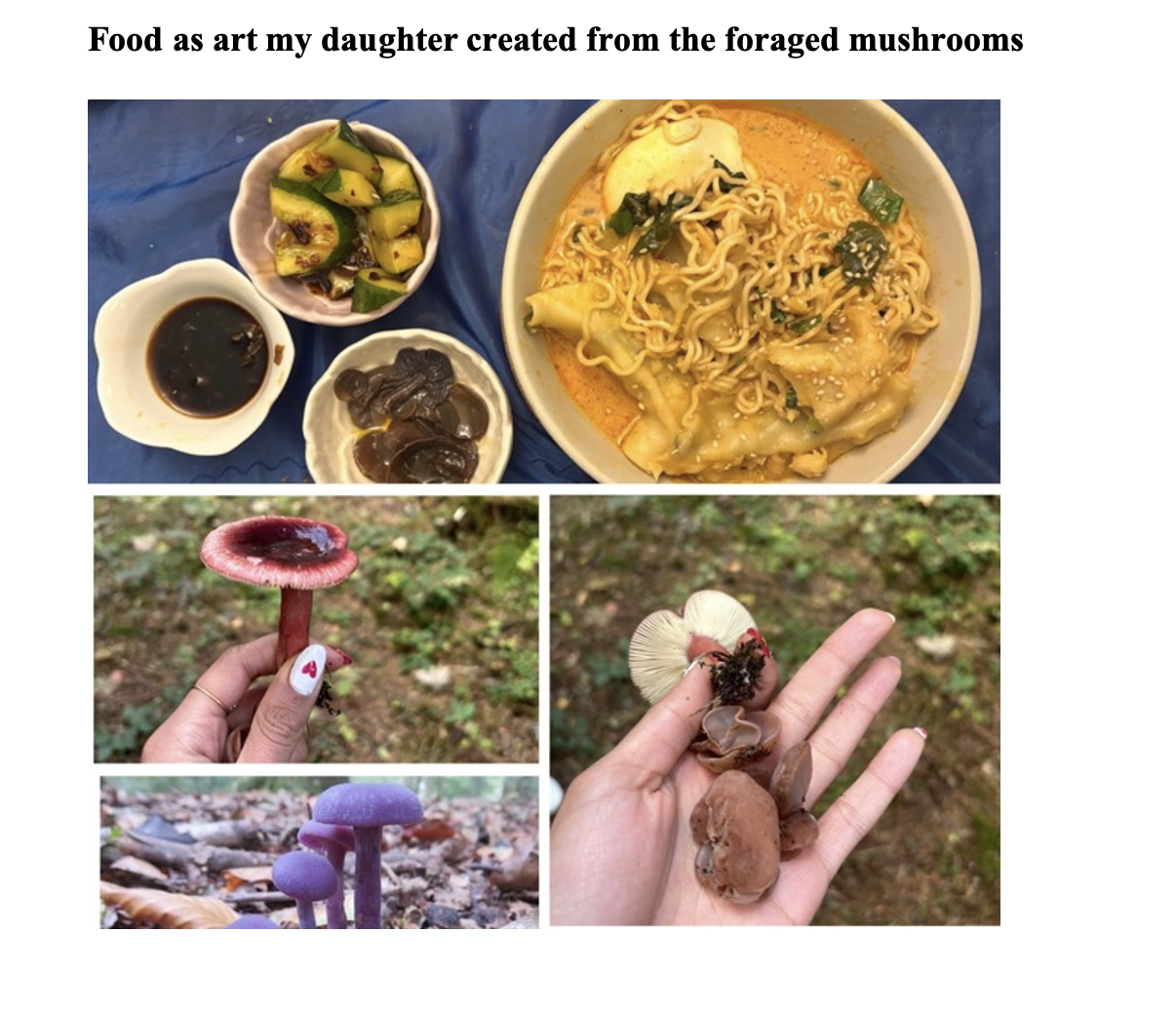 Food as art, foraged mushrooms