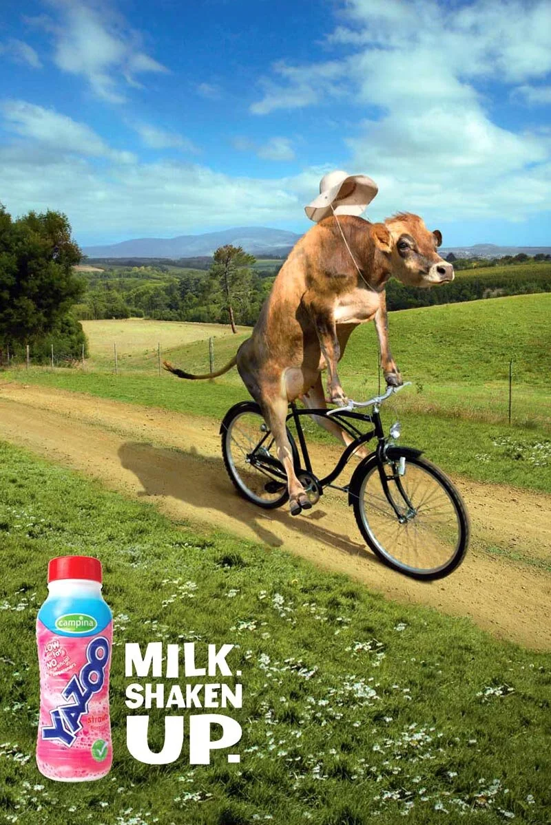smallcowweb.jpg