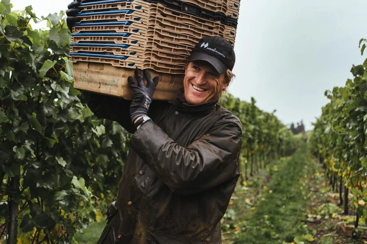 Kent wines
