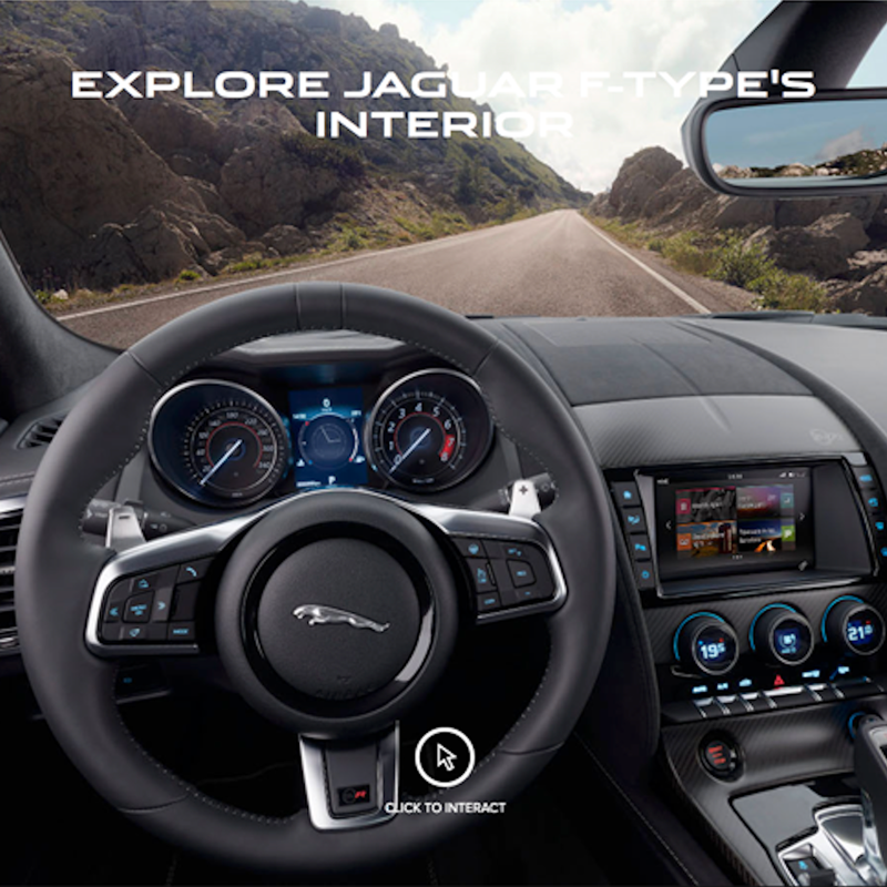 jaguar_11.png