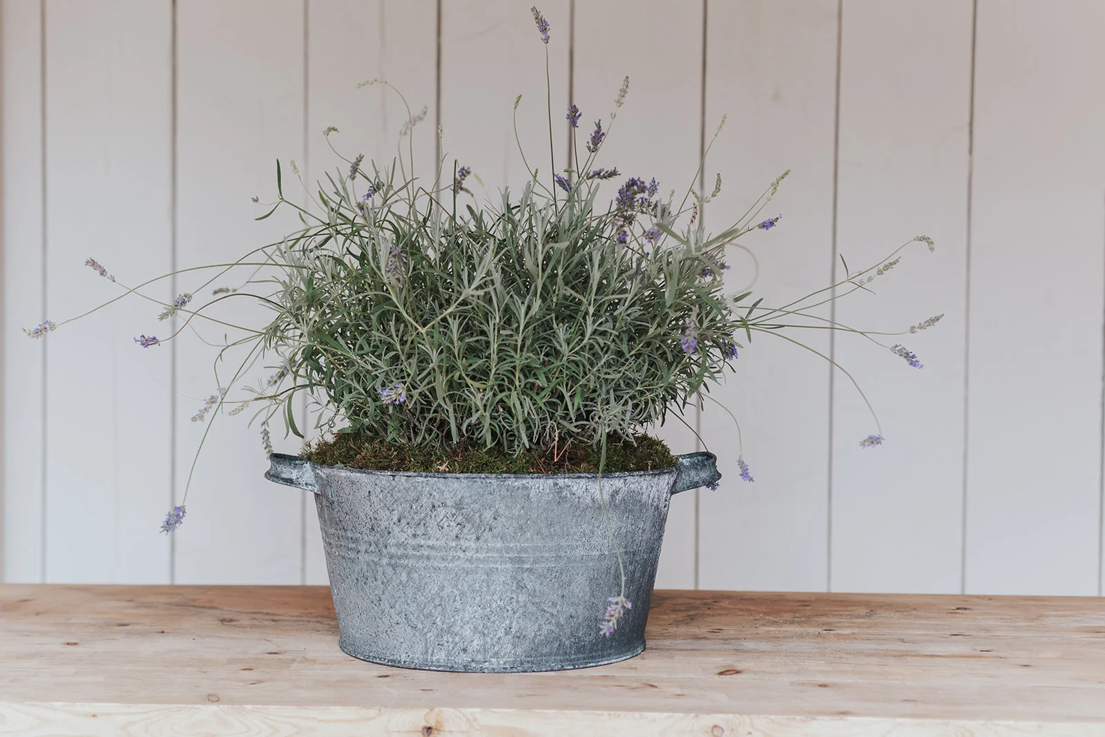 zinc garden planters