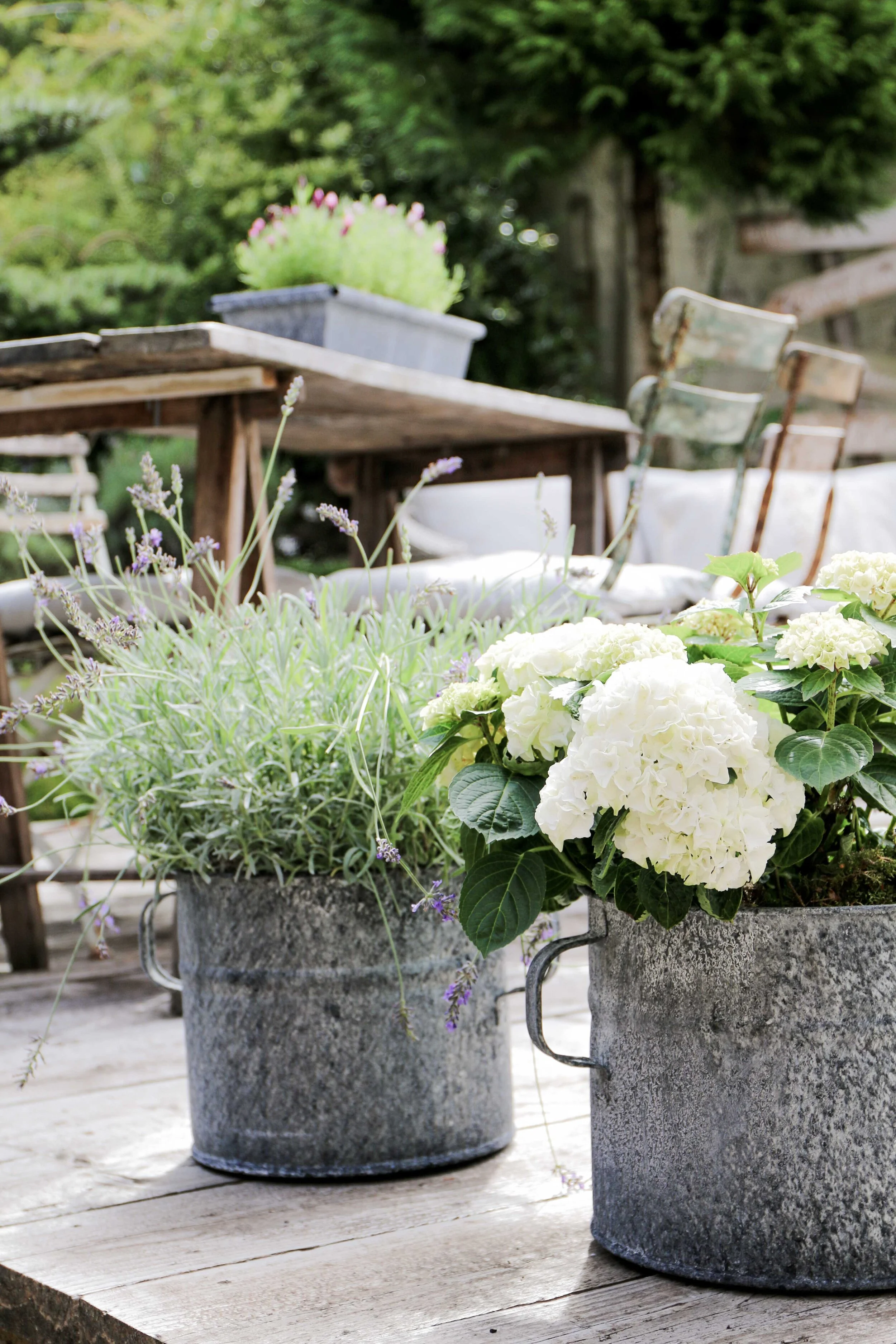 The Norfolk Zinc Garden Planter — The Interiors Yard