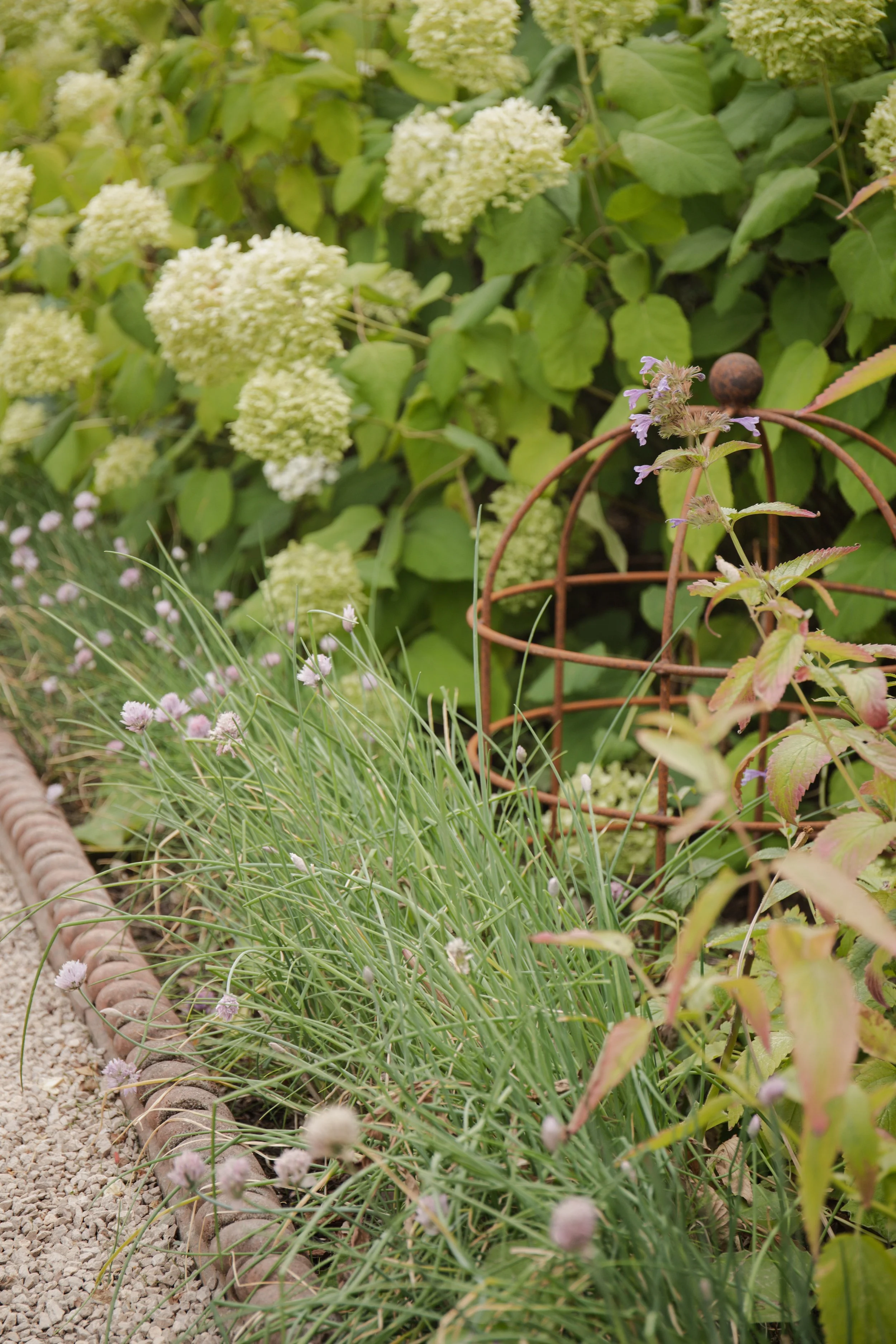 MSD - TIY Walled Garden Shoot-28.jpg