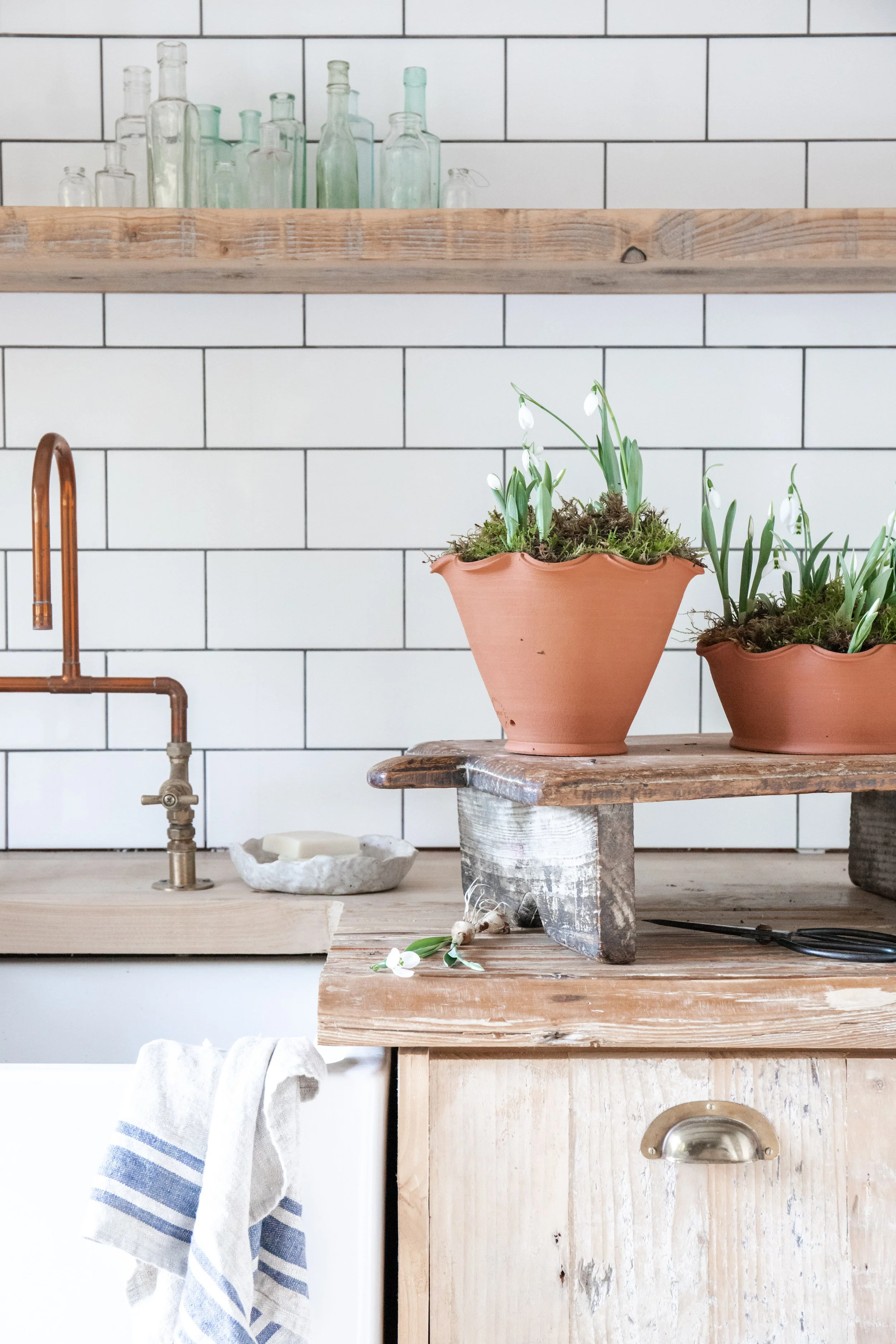 The Frilly Plant Pot