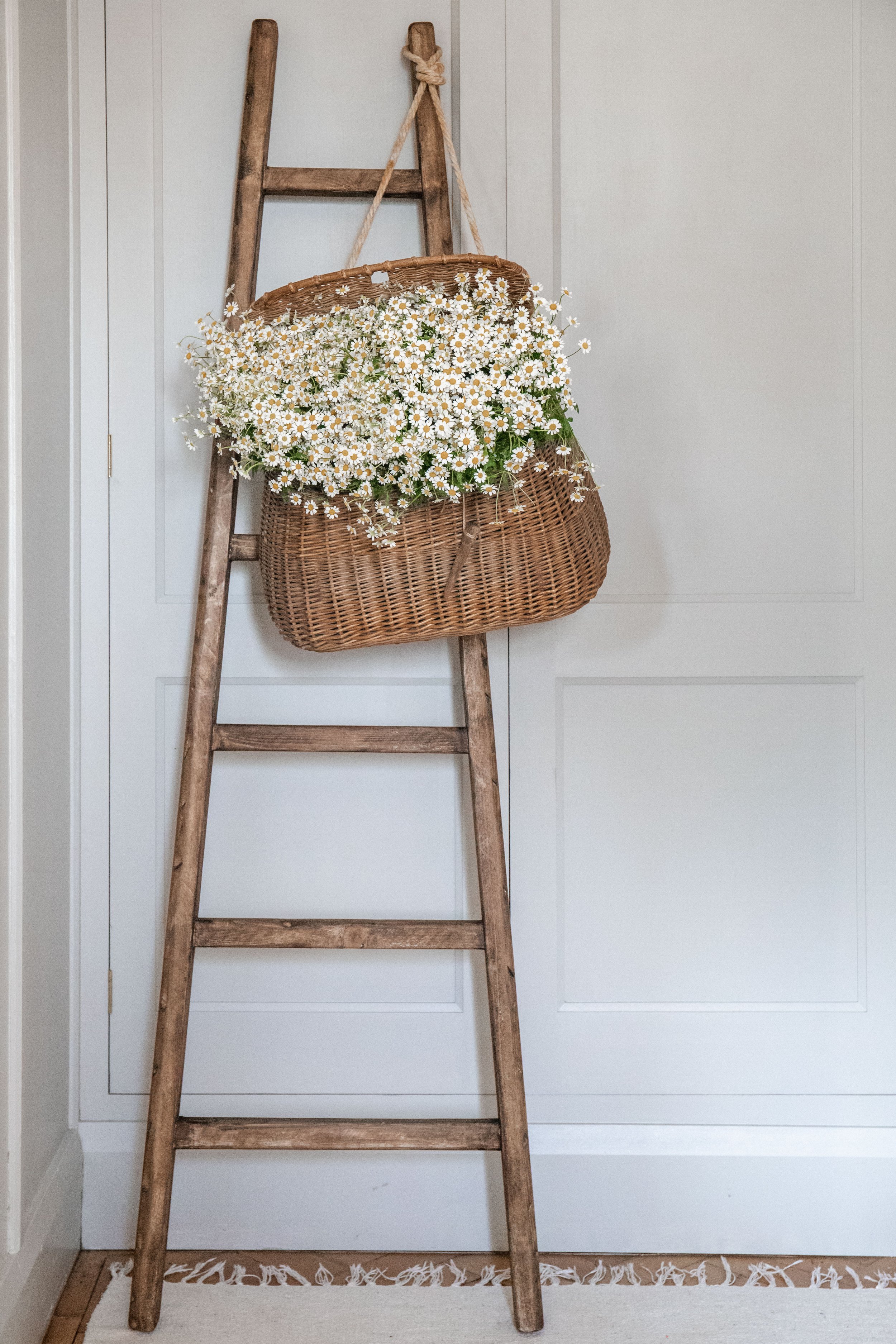 The Larder Ladder — The Interiors Yard