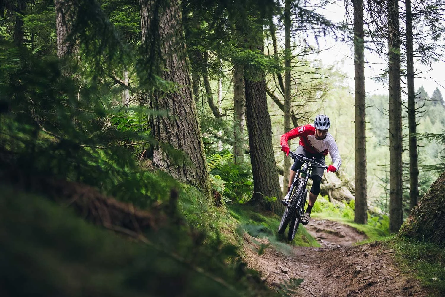Downhill mountain biking
