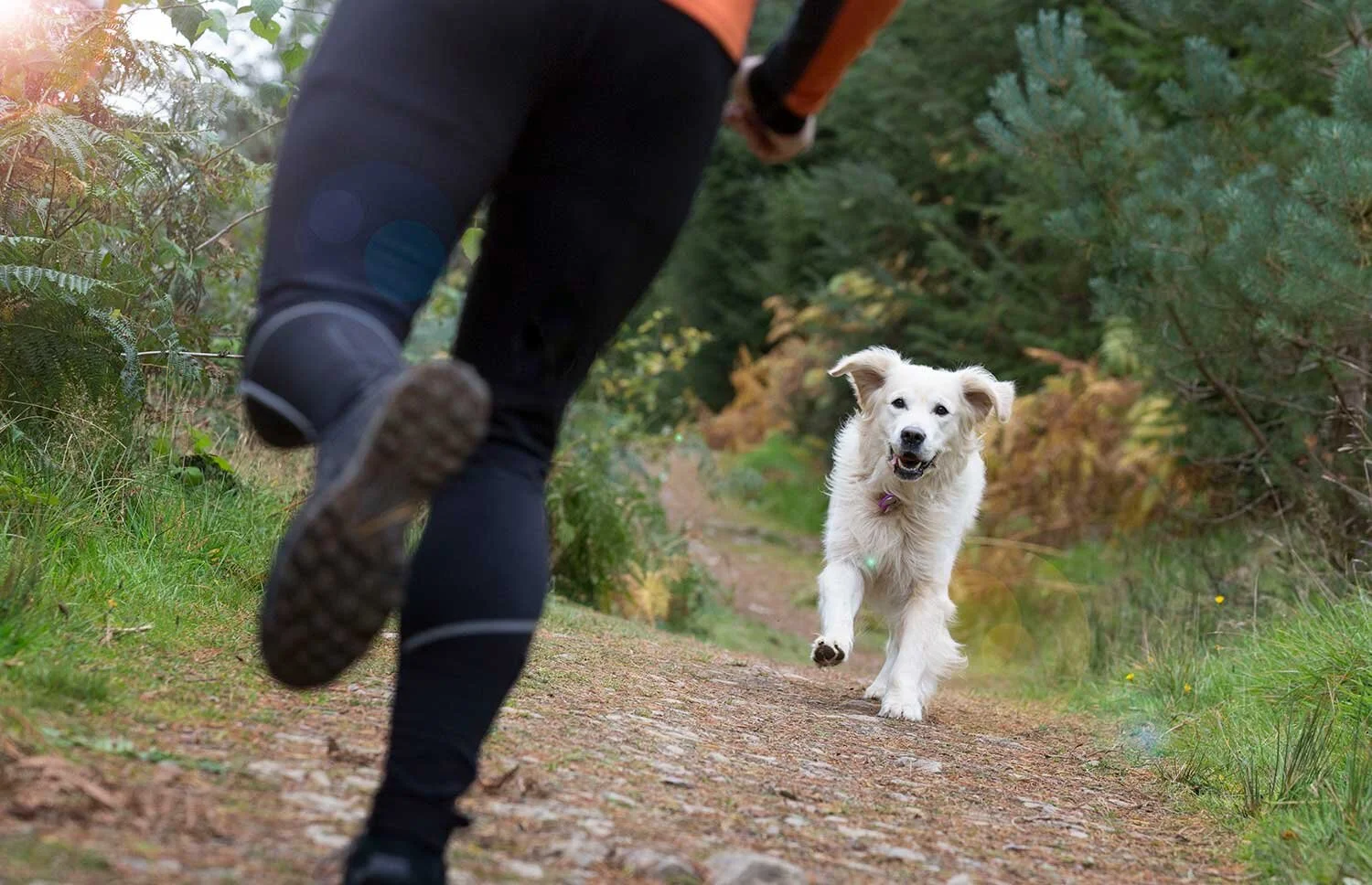 Running trails to get you started