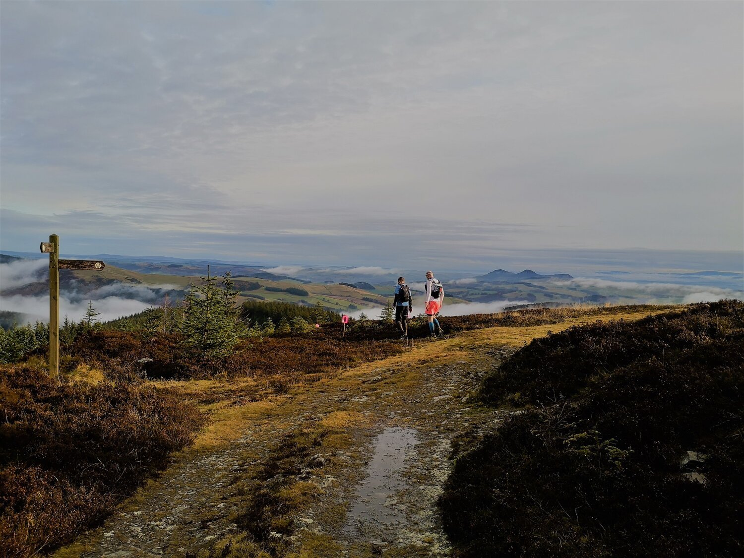 High Terrain Tweed+Valley+Ultra+three.jpg