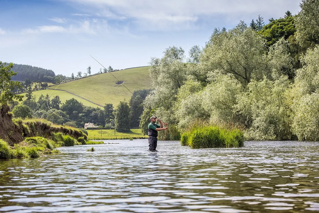 Tweed Trout Festival