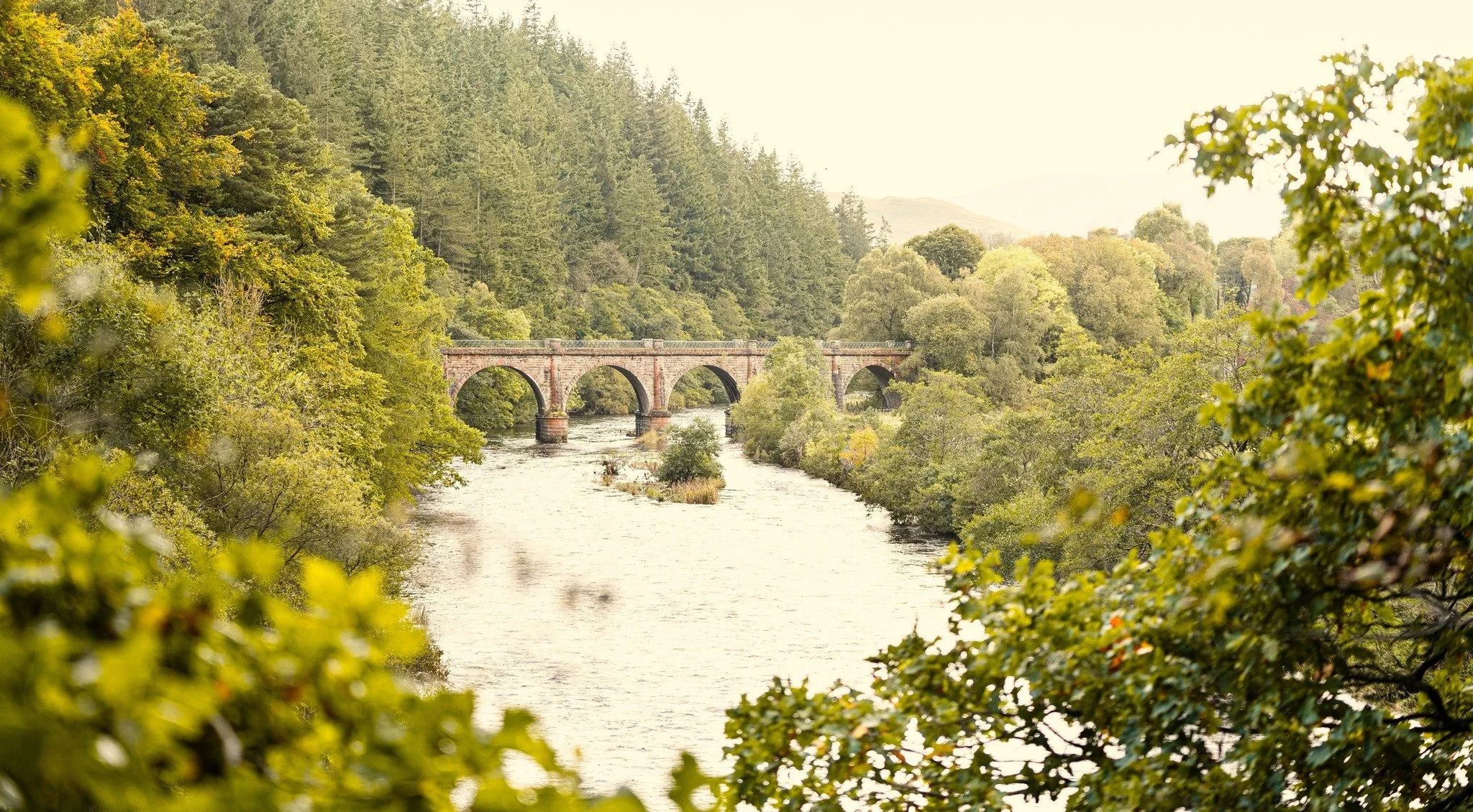 Neidpath Viaduct.jpg