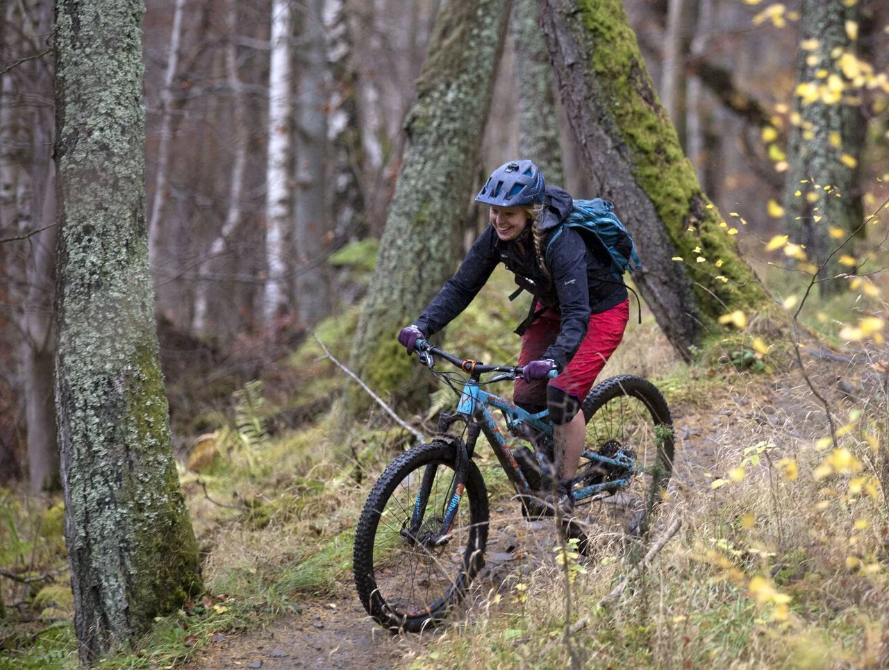 Glentress Forest