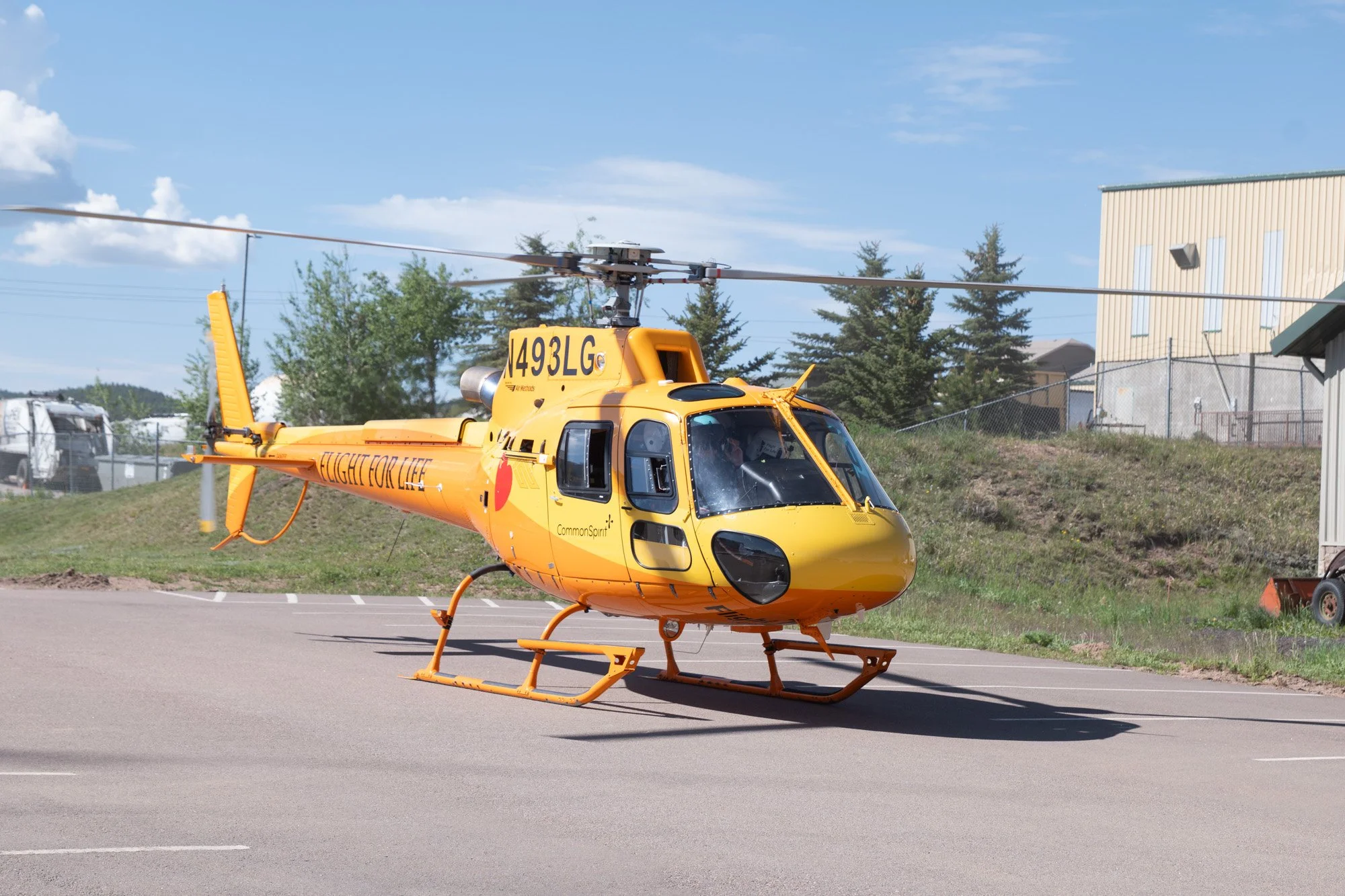P1005446.jpg