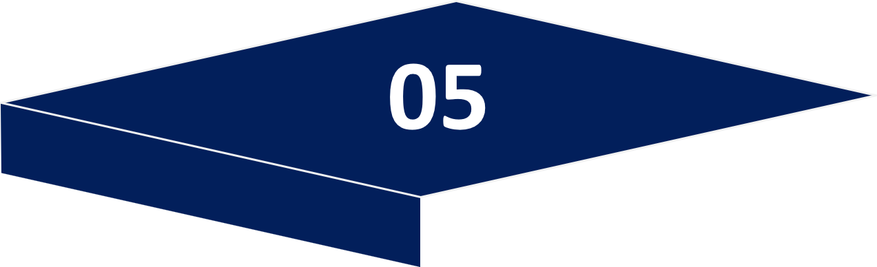 Stufe 5: Pionier