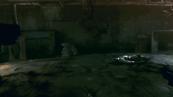 RE5.gif