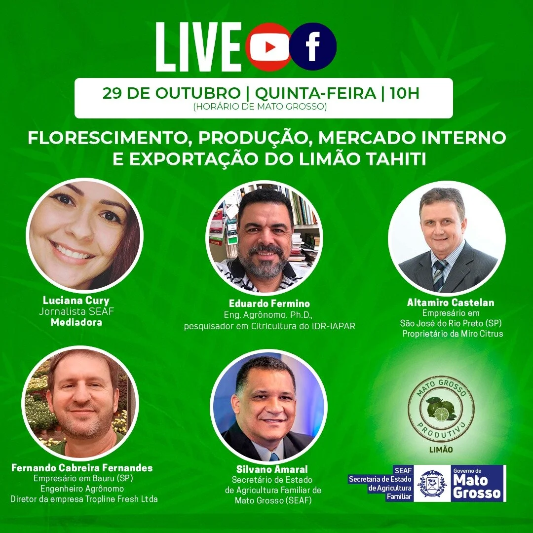 live citros 29 out.jpeg