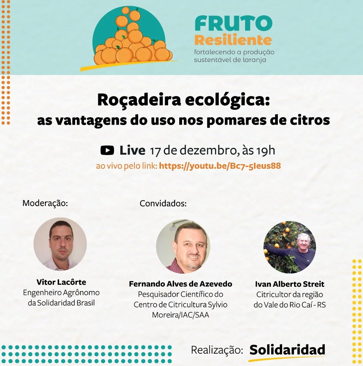 rocadeira solidaridad.jpeg
