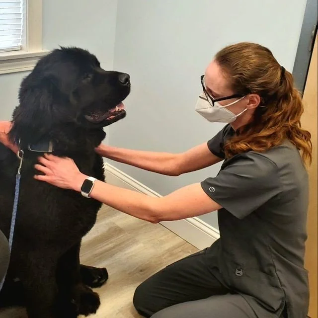 Urgent Care — VSC Sturbridge