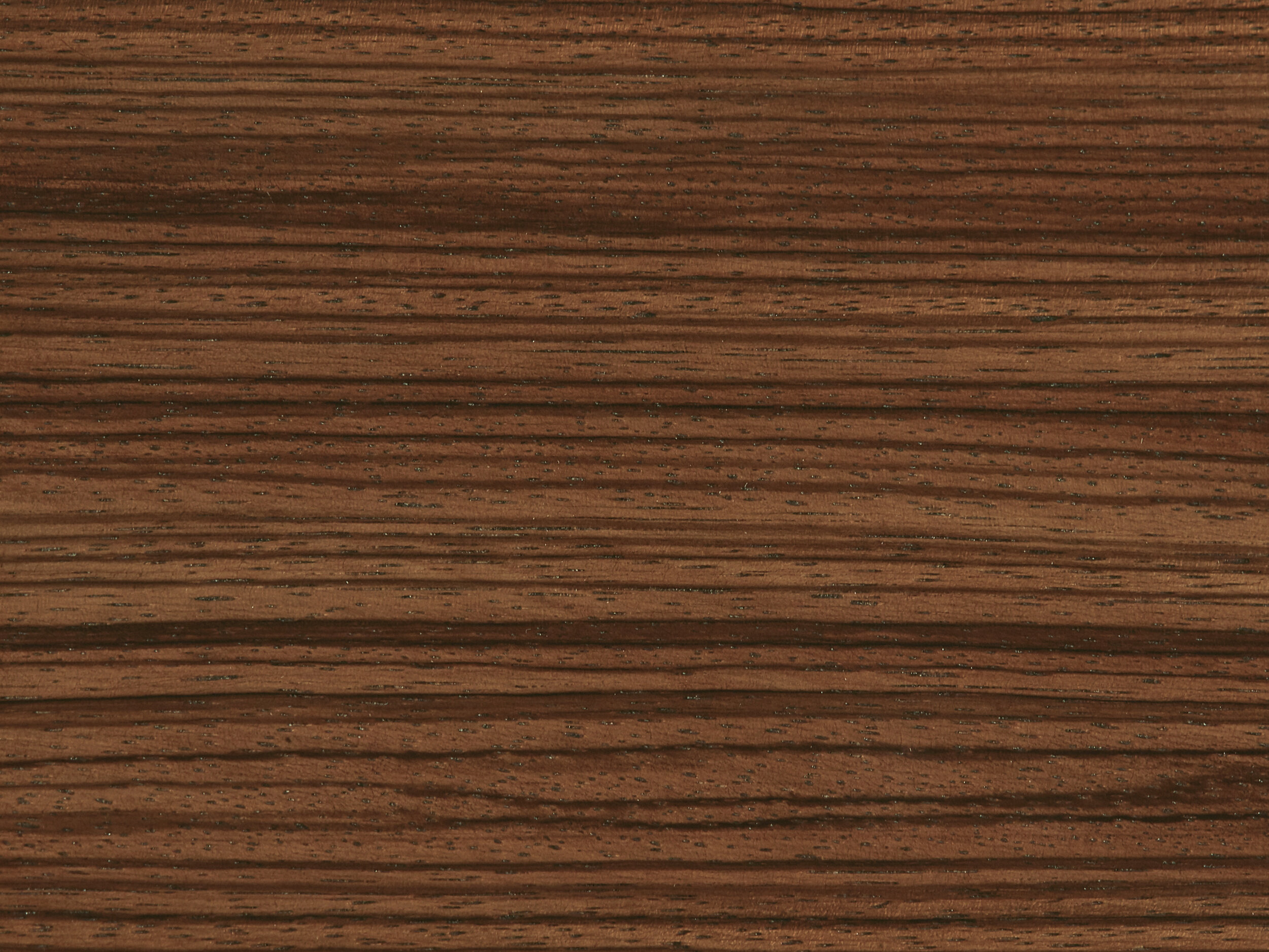 Zebrawood Lacquer