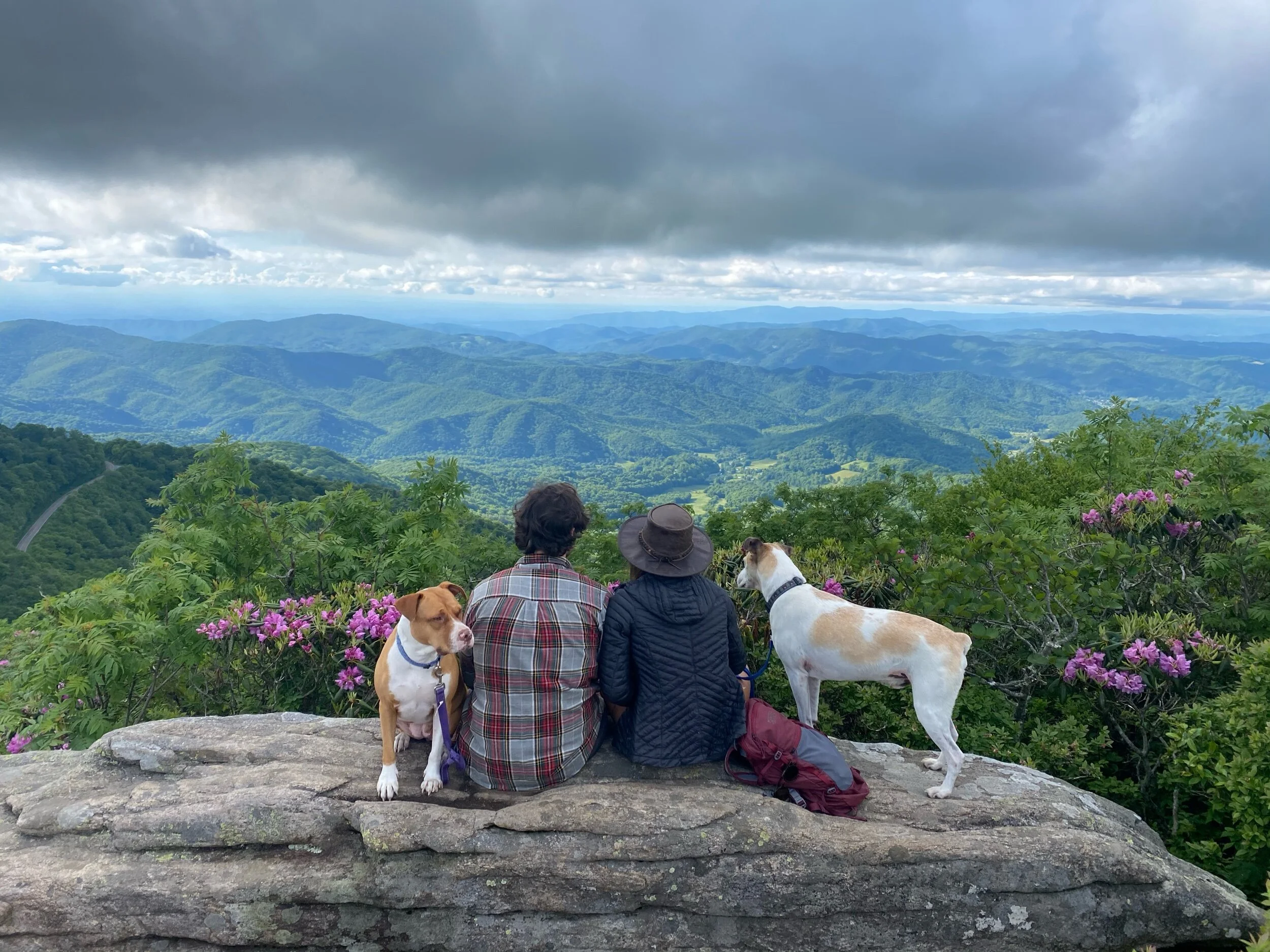 Blog 5 Roan Mountain Tn Livinginadvance