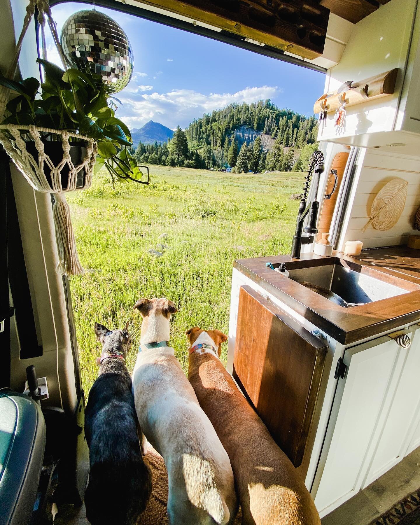 What&rsquo;s the best part about living with 3 dogs in a van? 

We get to show them the world! 🌎 

For more van and dog adventures ⬇️
FOLLOW @livinginadvance
FOLLOW @livinginadvance
FOLLOW @livinginadvance