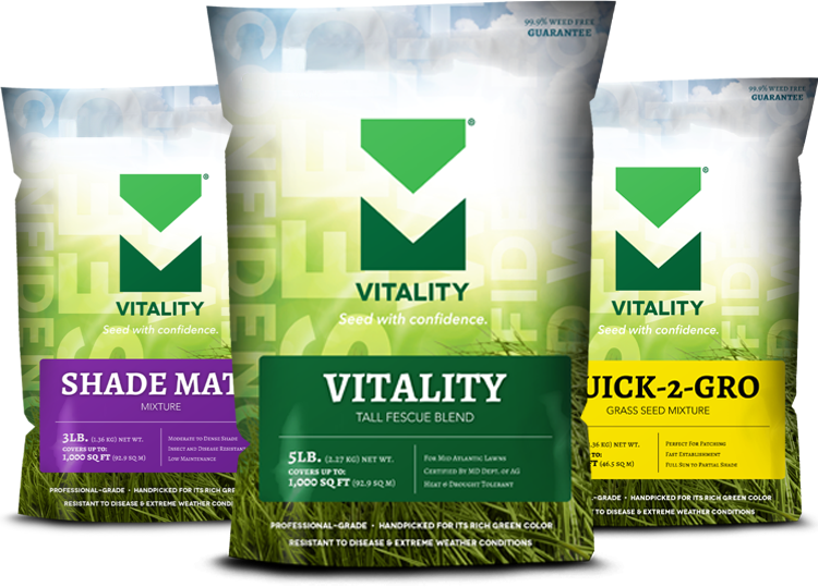 Header Bags no logo.png