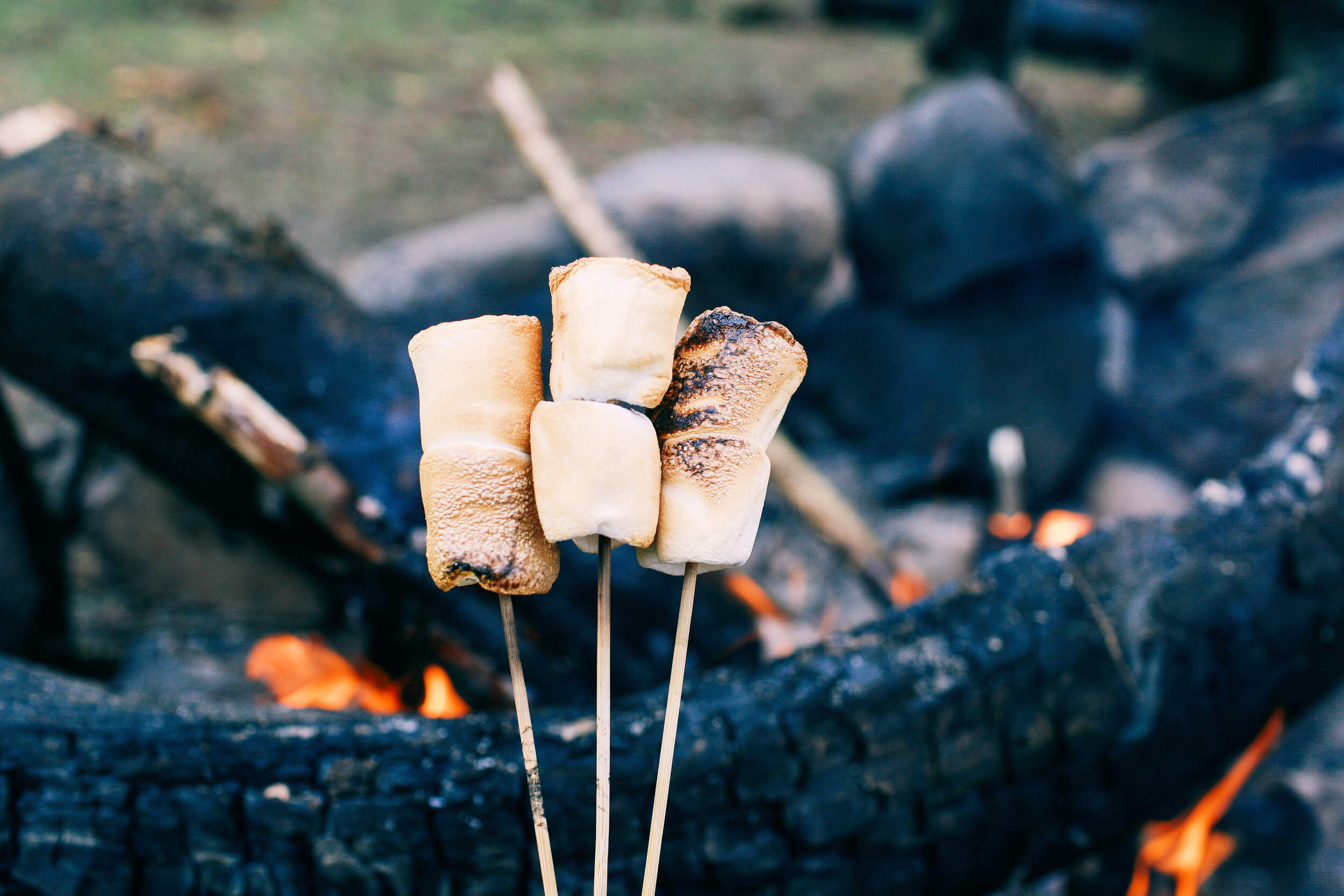 marshmallow-stick-fire-cooking-marshmallows-fire.jpg.