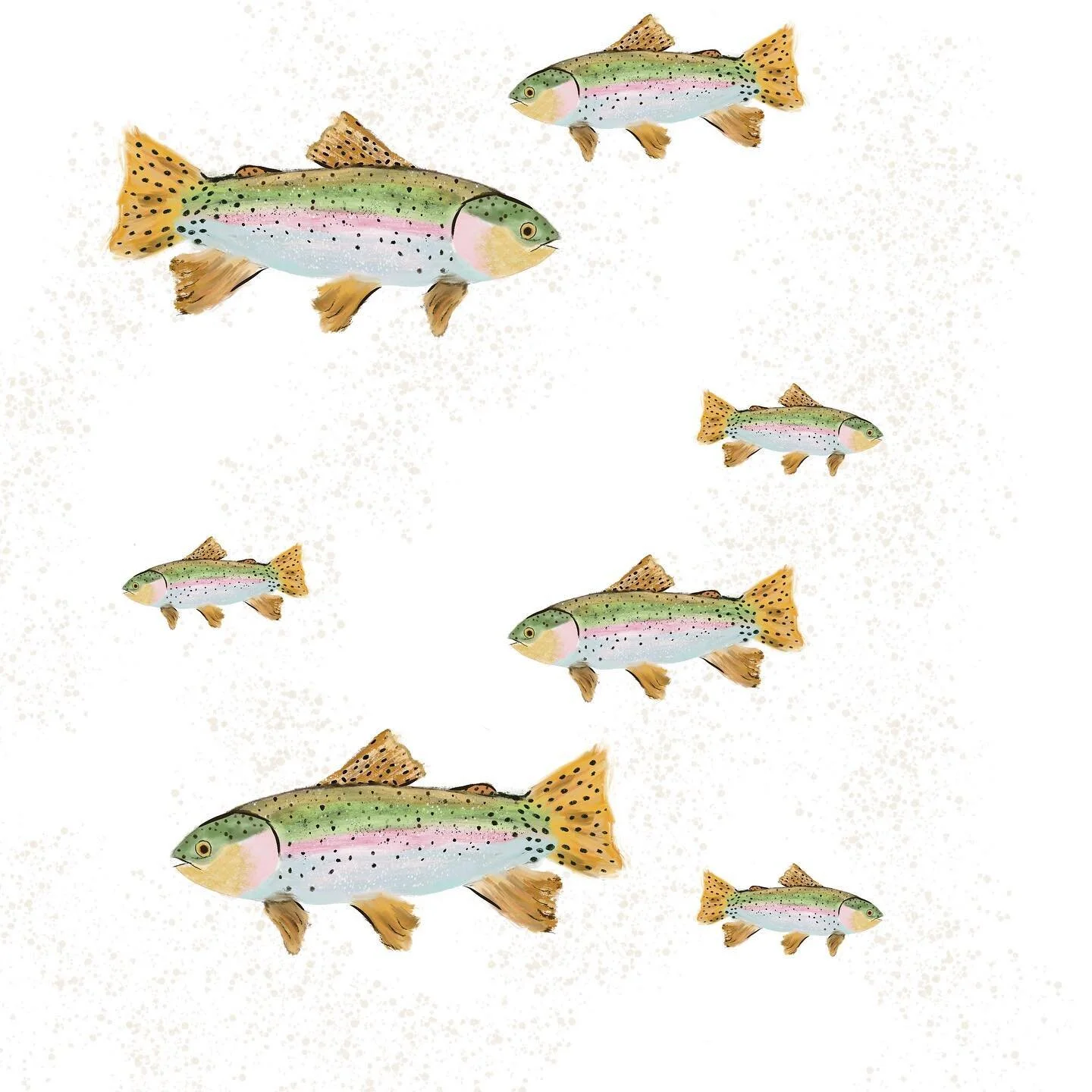 Votes are in &mdash; this was the catch! 🎣 🐠 I&rsquo;m keeping you hooked on what&rsquo;s to come. 

.

.

.

#rainbowtrout #rainbowhigh #troutbum #troutflies #troutfishing #troutfish #montanafishing #montanaartist #montanaillustrator #boz #bozo #b
