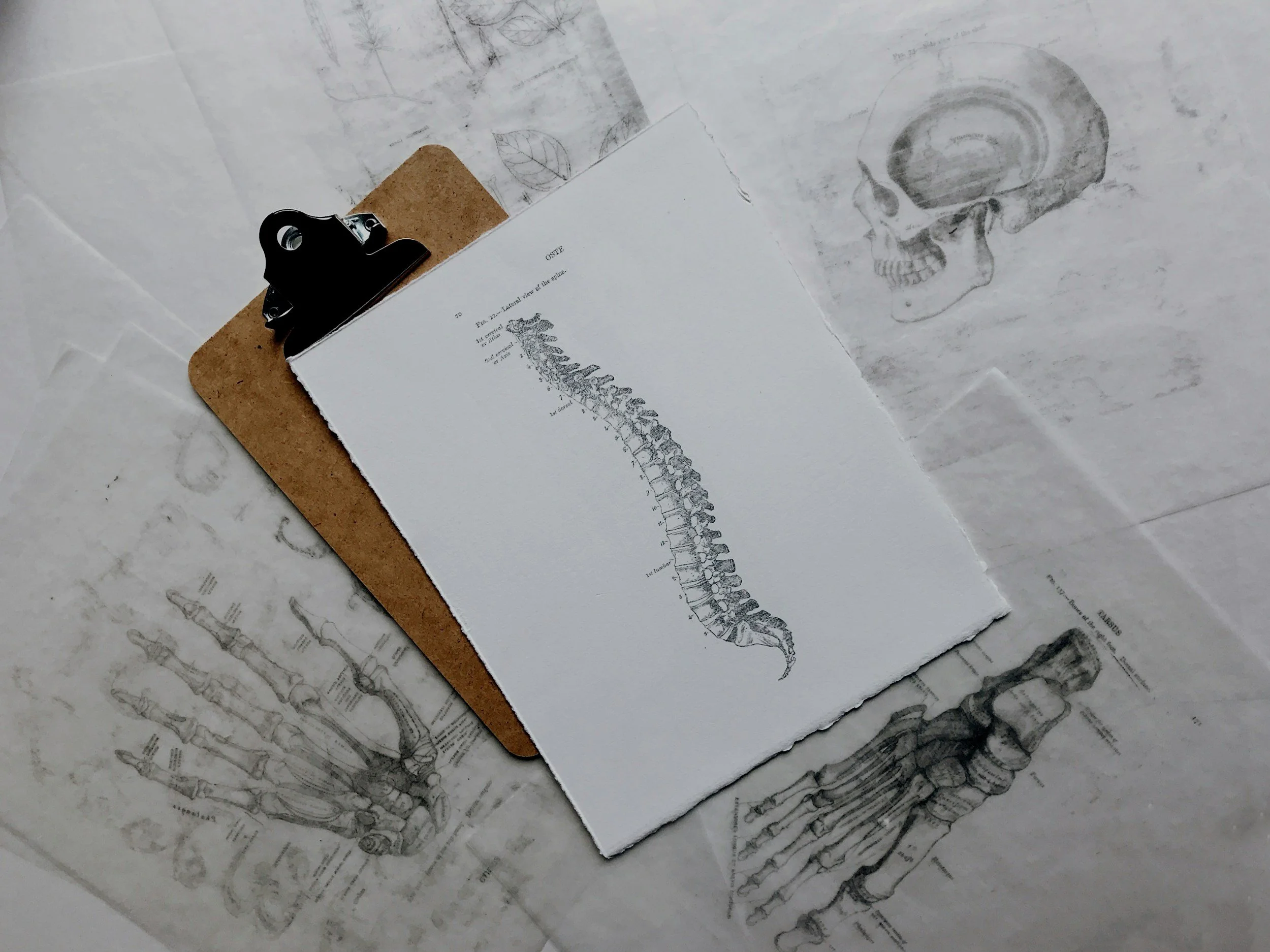 Quality Rehab Physical Therapy